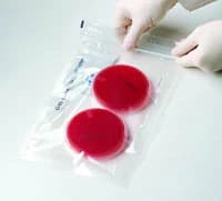 BD GasPak EZ CO2 Pouch System, Carbon Dioxide Consumable, 20/Pk - Gaspak Co2 EZ Pouch System - Image 1