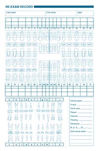 Chart Form Re Exam Prim/Perm, 2-Sided, 5.5 in x 8.5 in, 250/Pk - Chart Form Re Exam Prim/Perm - Image 1