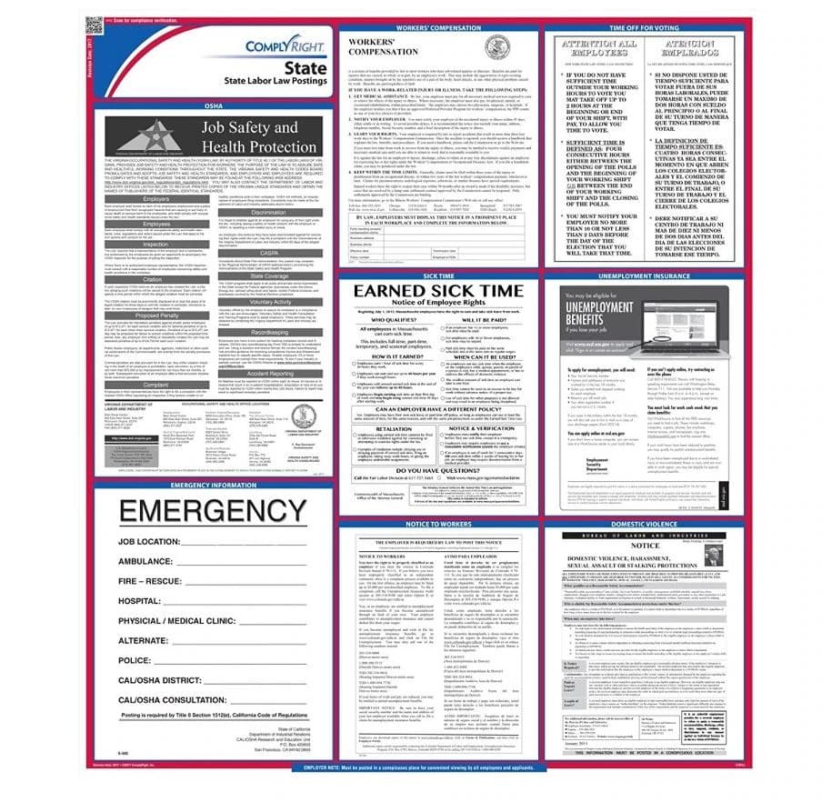 Comply Right State Labor Law Poster, Georgia, English, 27 in x 39 in, 100 lb Gloss Stock - Poster State Labor Law - Image 1