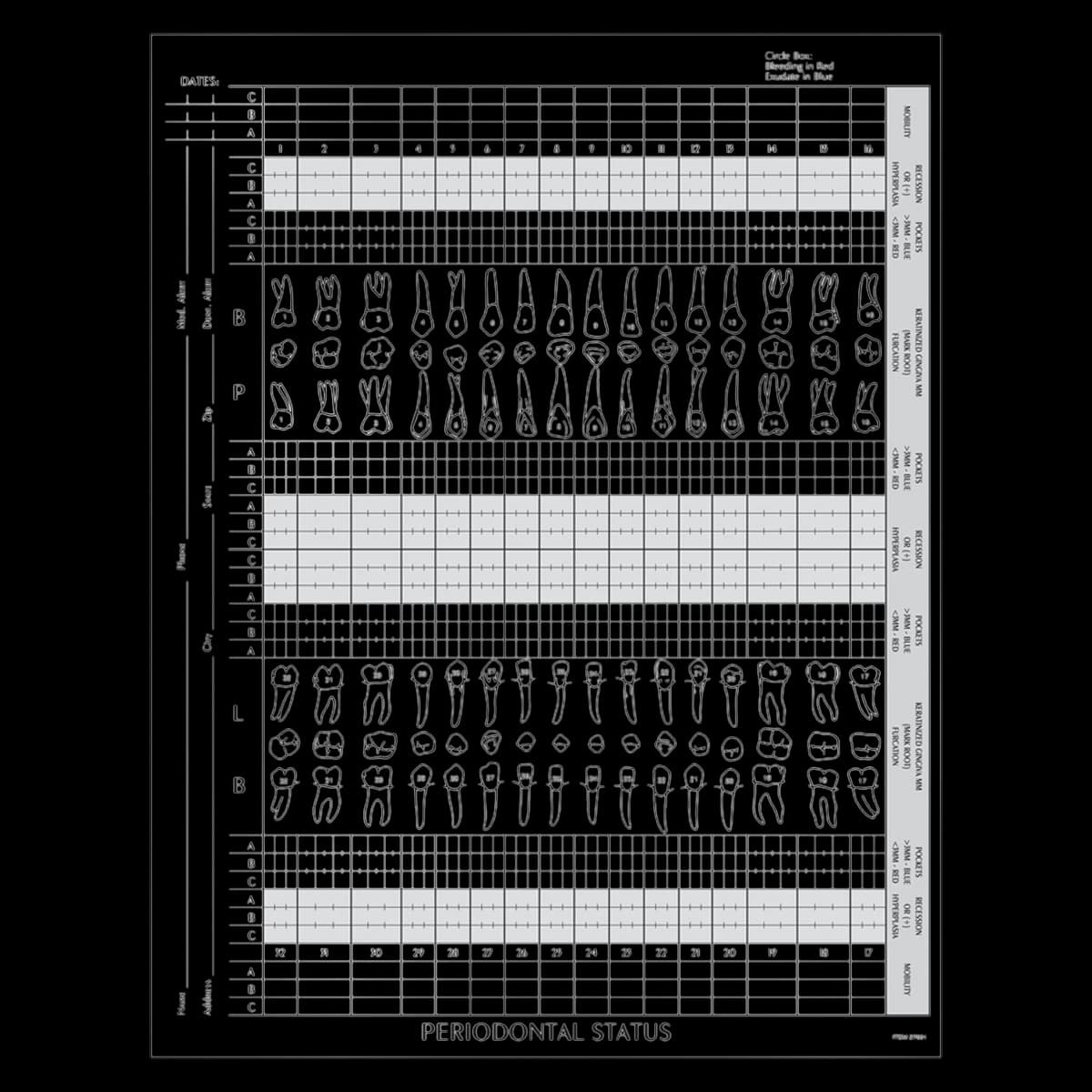 Wilmer Form Periodontal Status 2-Hole Dental Chart, 8.5 in x 11 in, White with Green Ink, 100/Package - Form Peridontal Status 2-Hole - Image 1