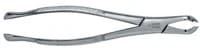Premier Dental Products Extracting Forceps #222 Mandibular, Adult, Stainless Steel, Each - Forcep 222 - Image 1