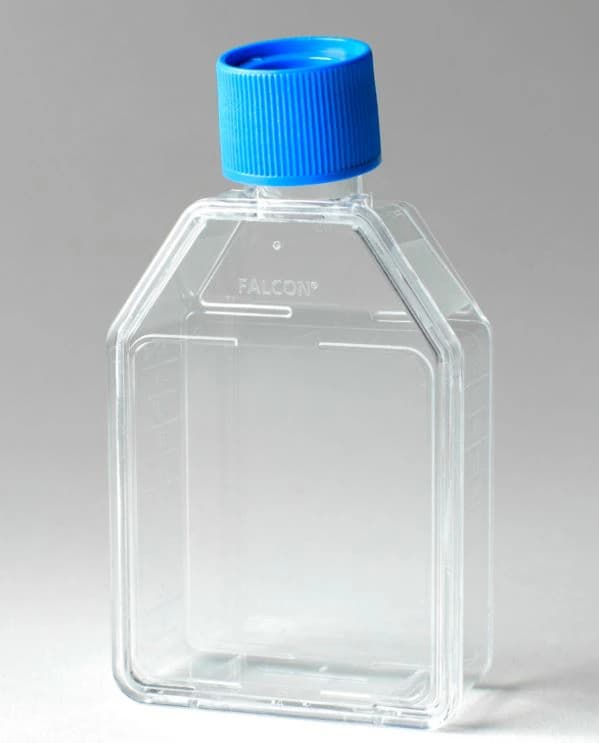Falcon Cell Culture Flask, Polystyrene, 25 cm², Rectangular Canted Neck, Vented Cap, 70 mL, Clear, Graduated, 100/Case - Flask Cell Cltr Rctngl 25cm - Image 1