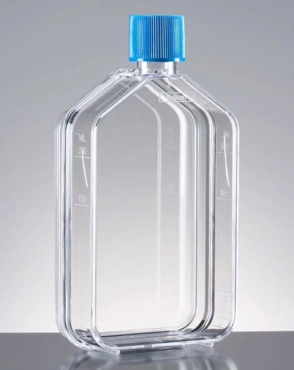 Falcon Cell Culture Flask, Polystyrene, Rectangular, 75 cm², 250 mL, Plug Seal Cap, Clear, Graduated, Straight Neck, 100/Case - Flask Cell Cltr Rctngl 75cm - Image 1