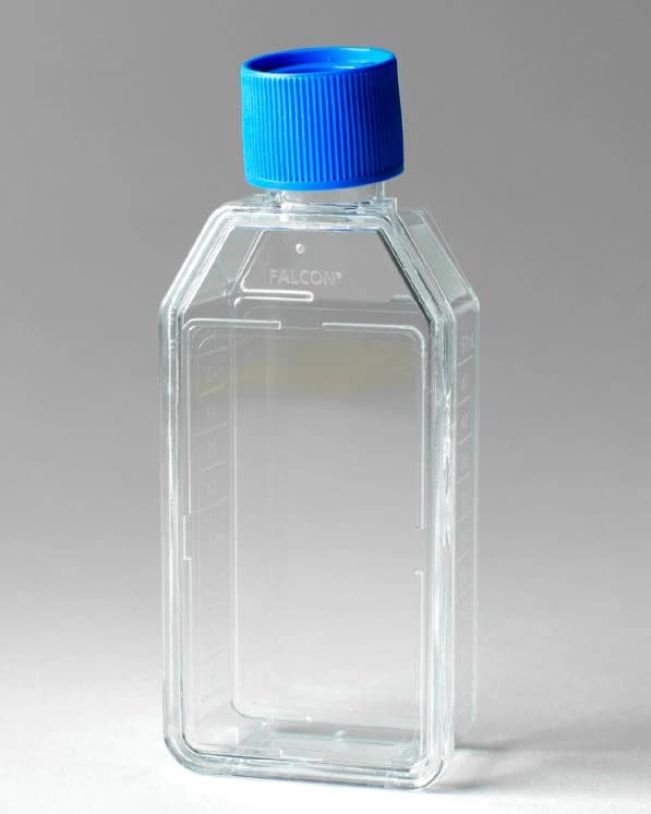 Falcon Cell Culture Flask, Polystyrene, 50mL, Rectangular Canted Neck, 25cm Growth Area, Vented Cap, Clear, Graduated, 100/Case - Flask Cell Cltr Rctngl 25cm - Image 1