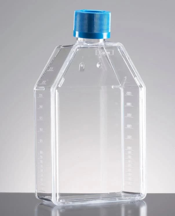 Falcon Cell Culture Flask, Polystyrene, 250mL, Rectangular Canted Neck, 75cm², Vented Cap, Clear, Graduated, 60/Case - Flask Cell Cltr Rctngl 75cm - Image 1