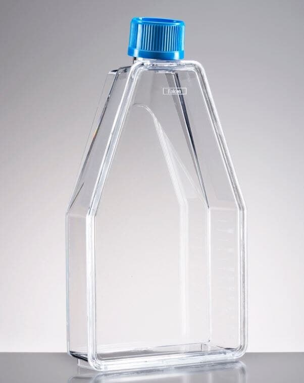 Falcon Cell Culture Flask, Polystyrene, Rectangular Canted Neck, 150cm, Vented Cap, Clear, Graduated, Sterile, 600mL, 40/Case - Flask Cell Cltr Rctngl 150cm - Image 1