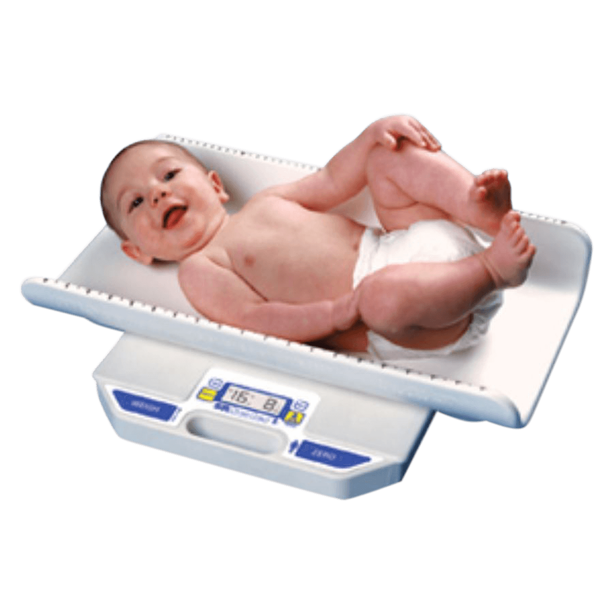 SR Instruments Portable Scale, 400 lb Capacity - Scale Portable - Image 1