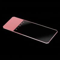Globe Scientific Pink Frosted Microscope Slides, 25x75mm, 1mm Thick, 45° Beveled Edges, Clipped Corners, 20 Boxes/Case - Slide Pink Beveld 25x75x1mm - Image 1