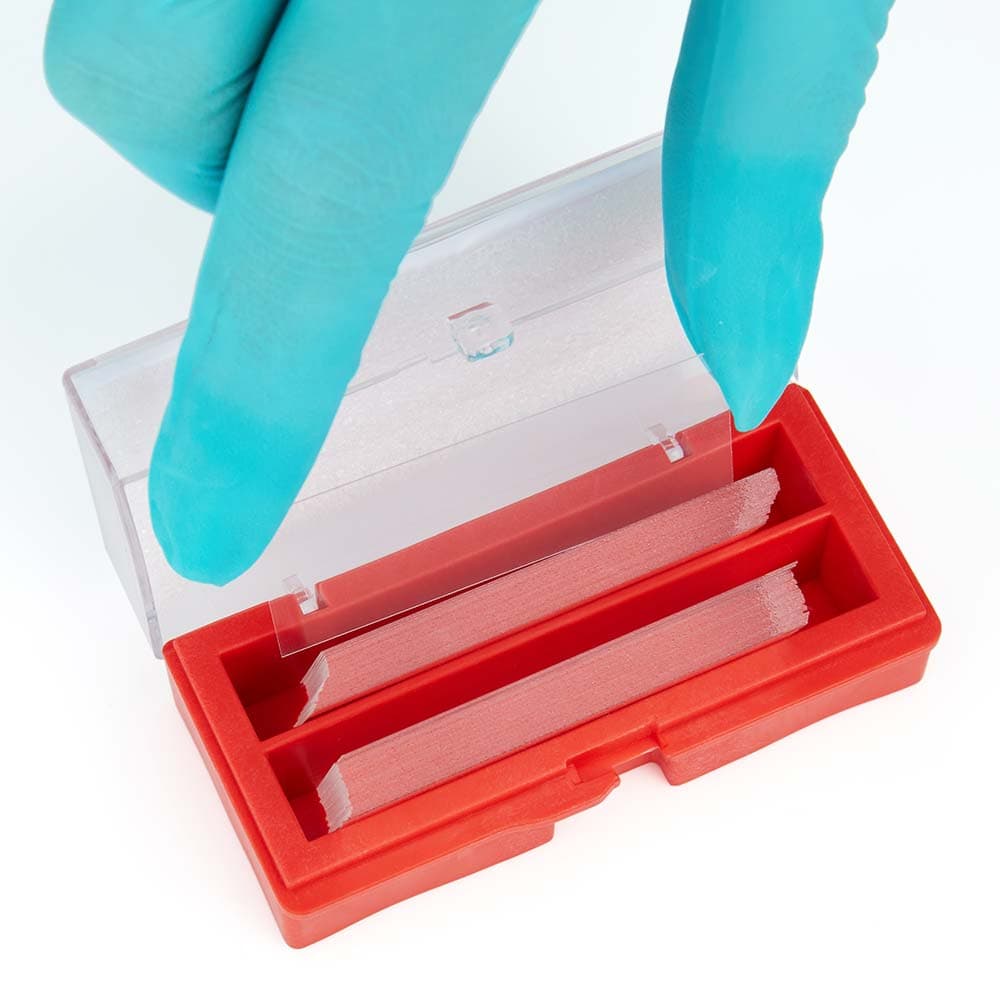 Globe Scientific Microscope Cover Glass, 22x40mm, No. 1 Thickness, 10 per Box thumbnail 2