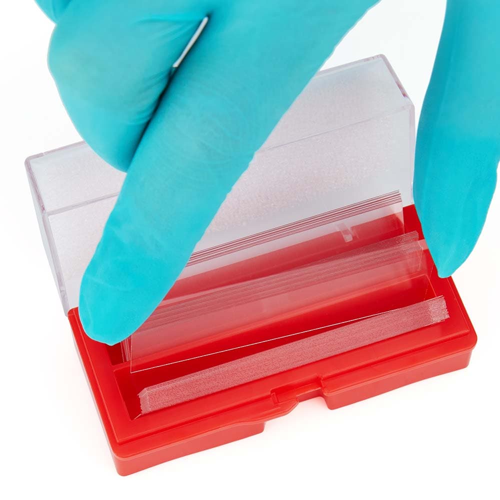 Globe Scientific Microscope Cover Glass, 22x60mm, Thickness #2, 10 per Box thumbnail 2