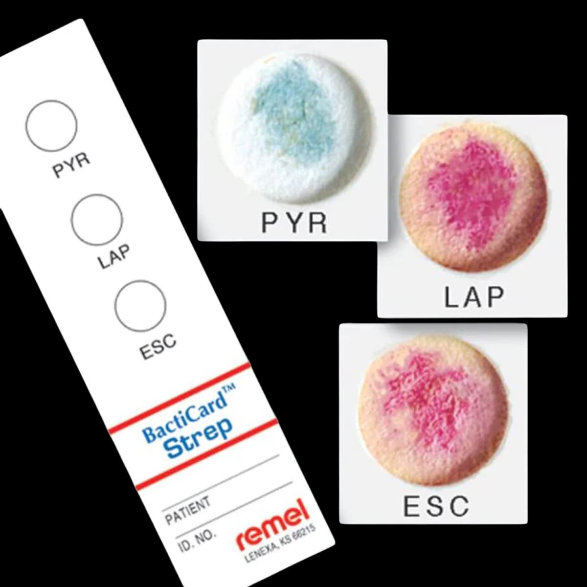 Remel BactiCard Strep Test, High Complexity, for Staphylococcus aureus, 25 Tests/Kit - BactiCard Strep - Image 1