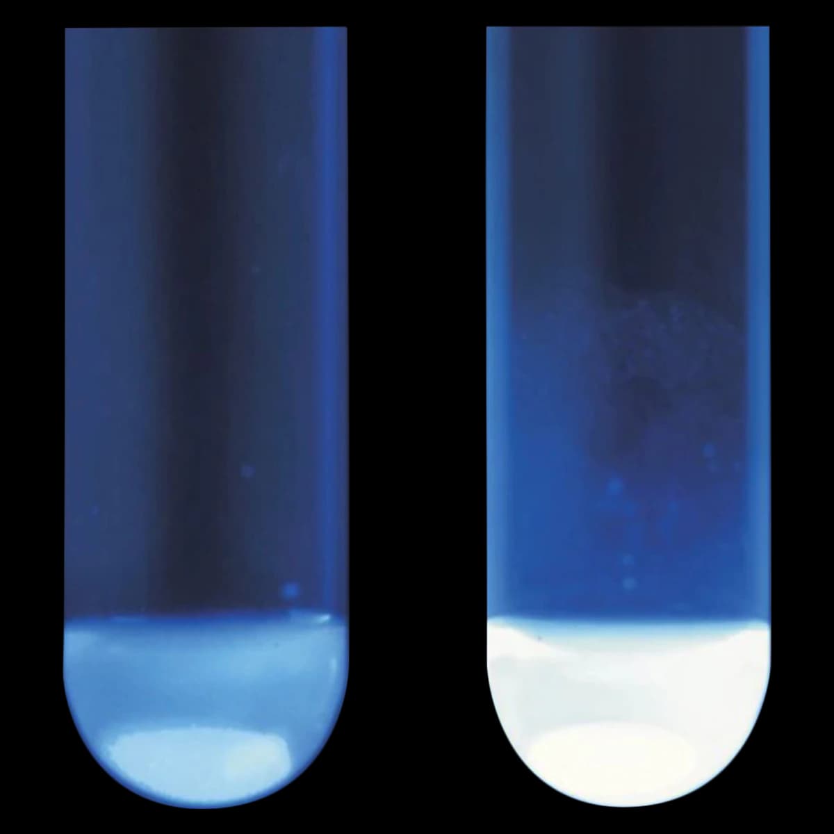 Remel MUG Disk for E. coli Detection, 25 Tests per Vial, 25/VL - MUG Disk - Image 1