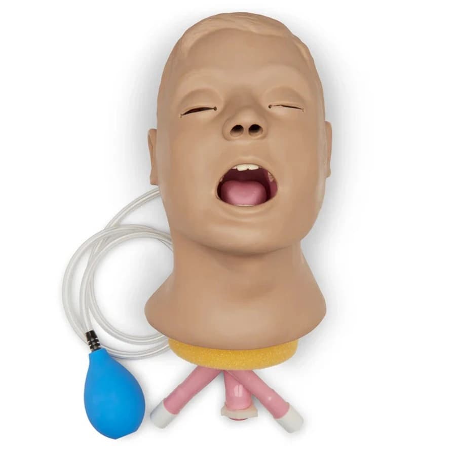 Nasco Healthcare Airway Management Trainer - Airway Management Trainer - Image 1