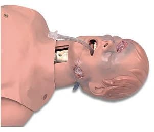 Nasco Healthcare Critical Airway Management Trainer, Upper Half Training Manikin, Light Skin, Male Adult - Critical A.W. Mgmt Trainer - Image 1
