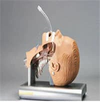 Ambu Intubation Airway Management Trainer with Carry Case - Intubation Trainer w/Carry - Image 1