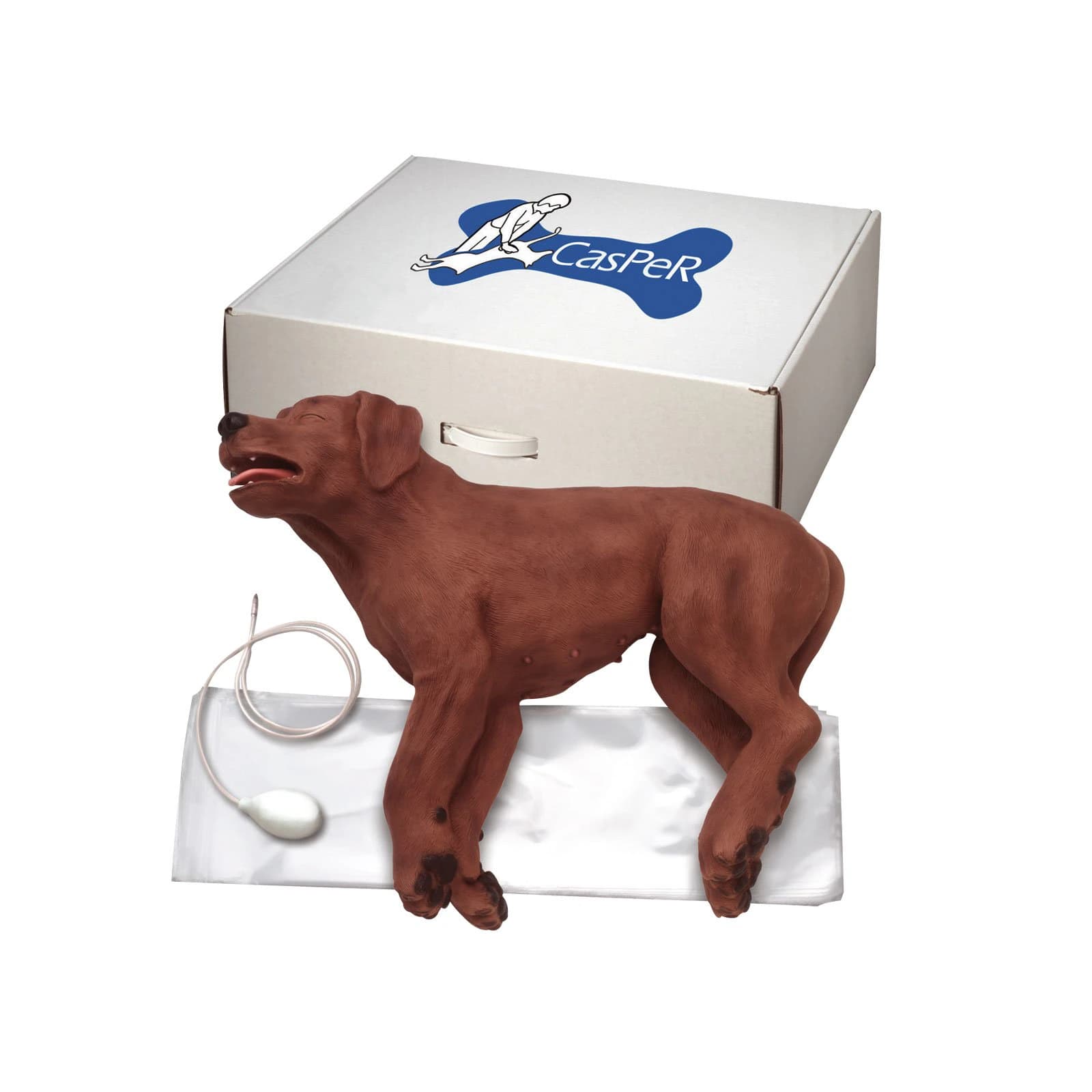 Stimulaids CasPeR The CPR Dog Full Body Mouth-to-Snout Resuscitation Manikin, Brown, with Disposable Bags and Pump - Casper CPR Dog - Image 1