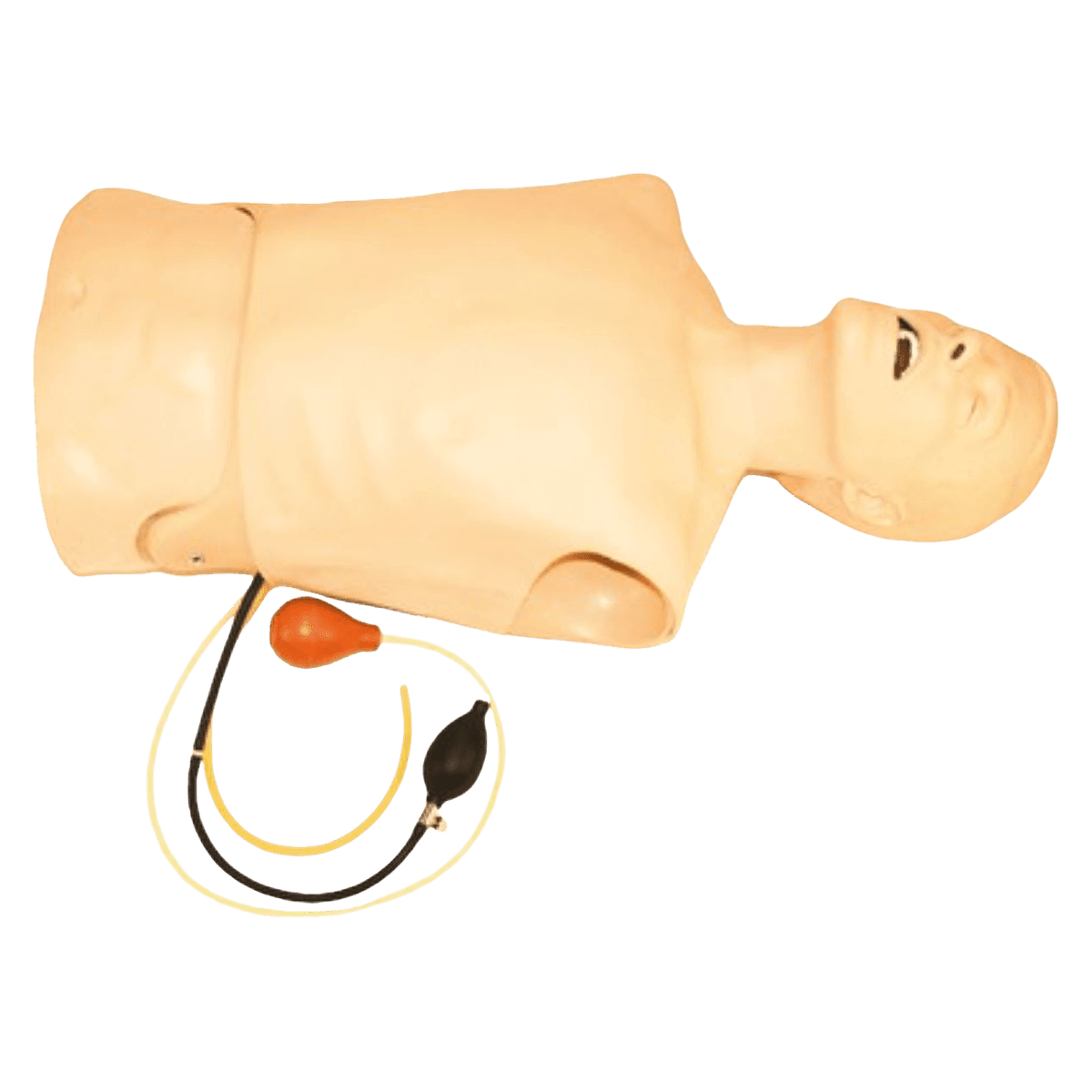 Laerdal AT Kelly Torso Airway Training Manikin with Bladder Replacement Kit, Lubricant, Tank Top, Carry Case, and Directions for Use - AT Kelly Torso - Image 1