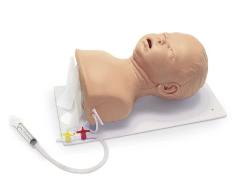 Nasco Healthcare Intubation Head Infant Deluxe Training Model - Intubation Head Infant Deluxe - Image 1
