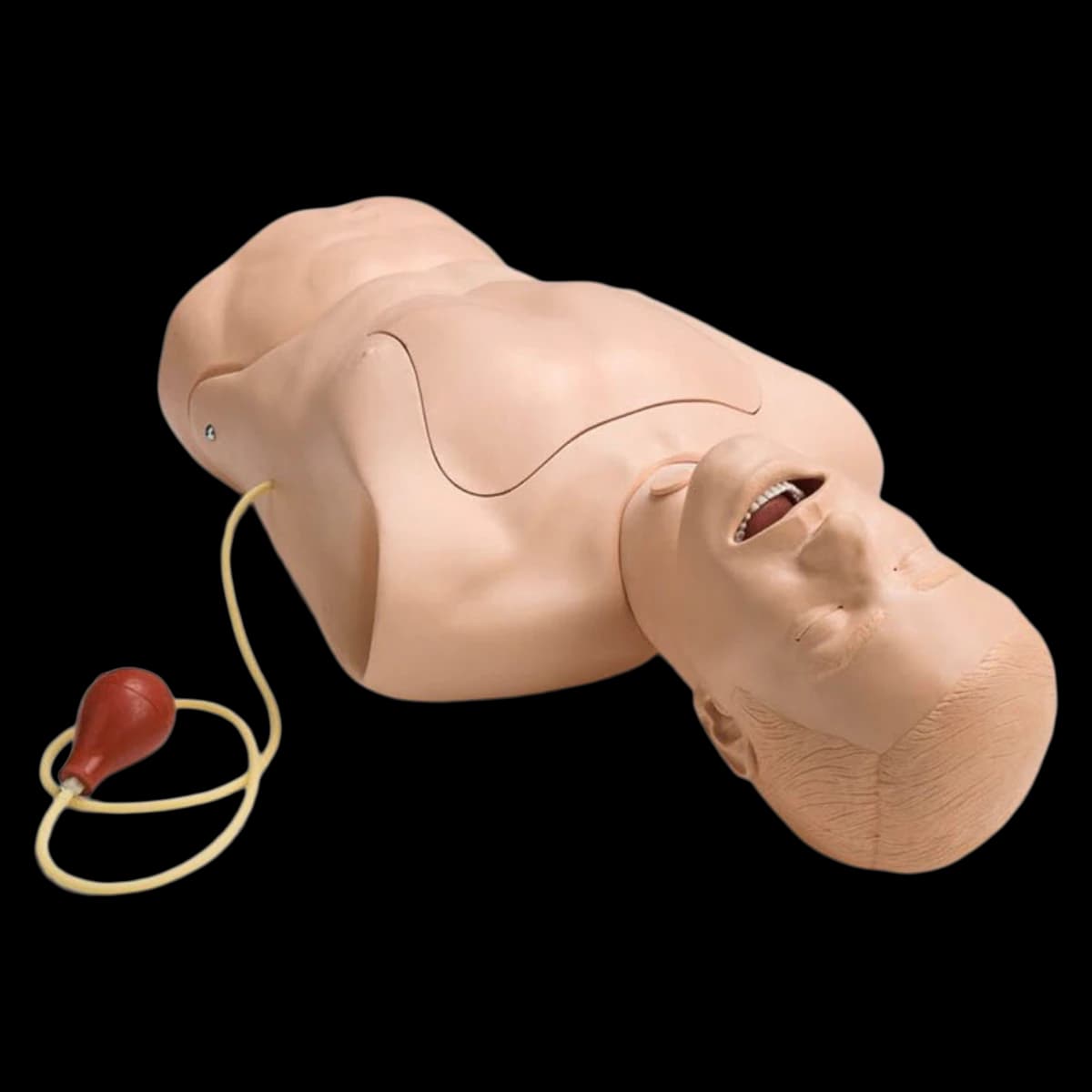 Laerdal NG Tube/Trach Care Simulator - NG Tube/Trach Care Simulator - Image 1