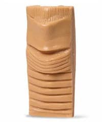 Nasco Healthcare Cricothyro Cartilage Insert Simulator, 12/Package - Cricothyro Cartilage Simulator - Image 1