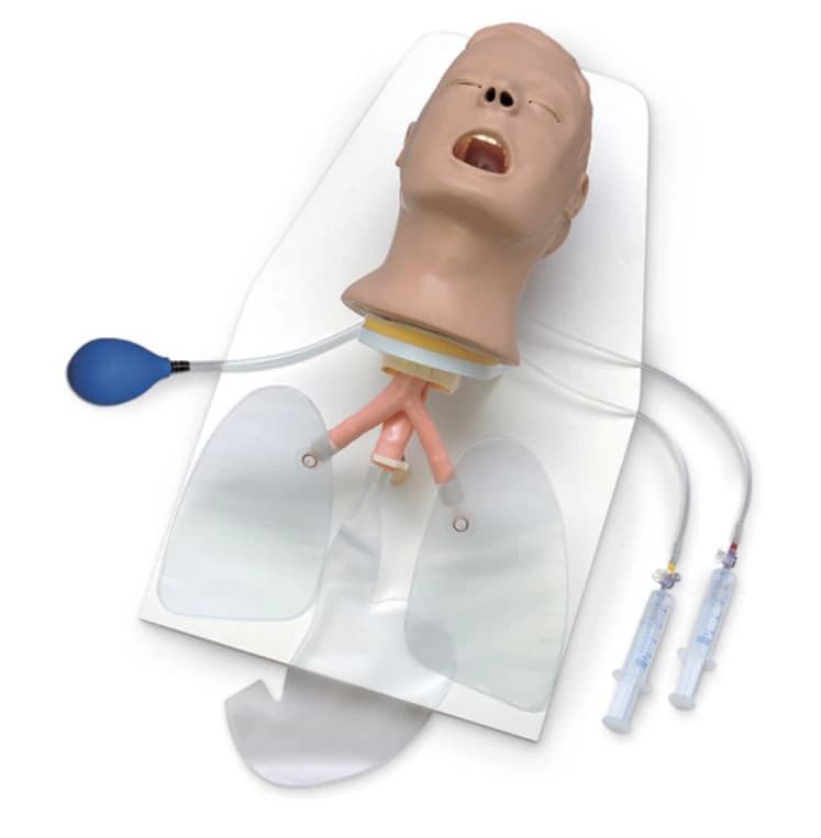 Life/form Advanced Airway Larry Head Airway Management Trainer with Stand - Adv. Airway Larry on Stand - Image 1