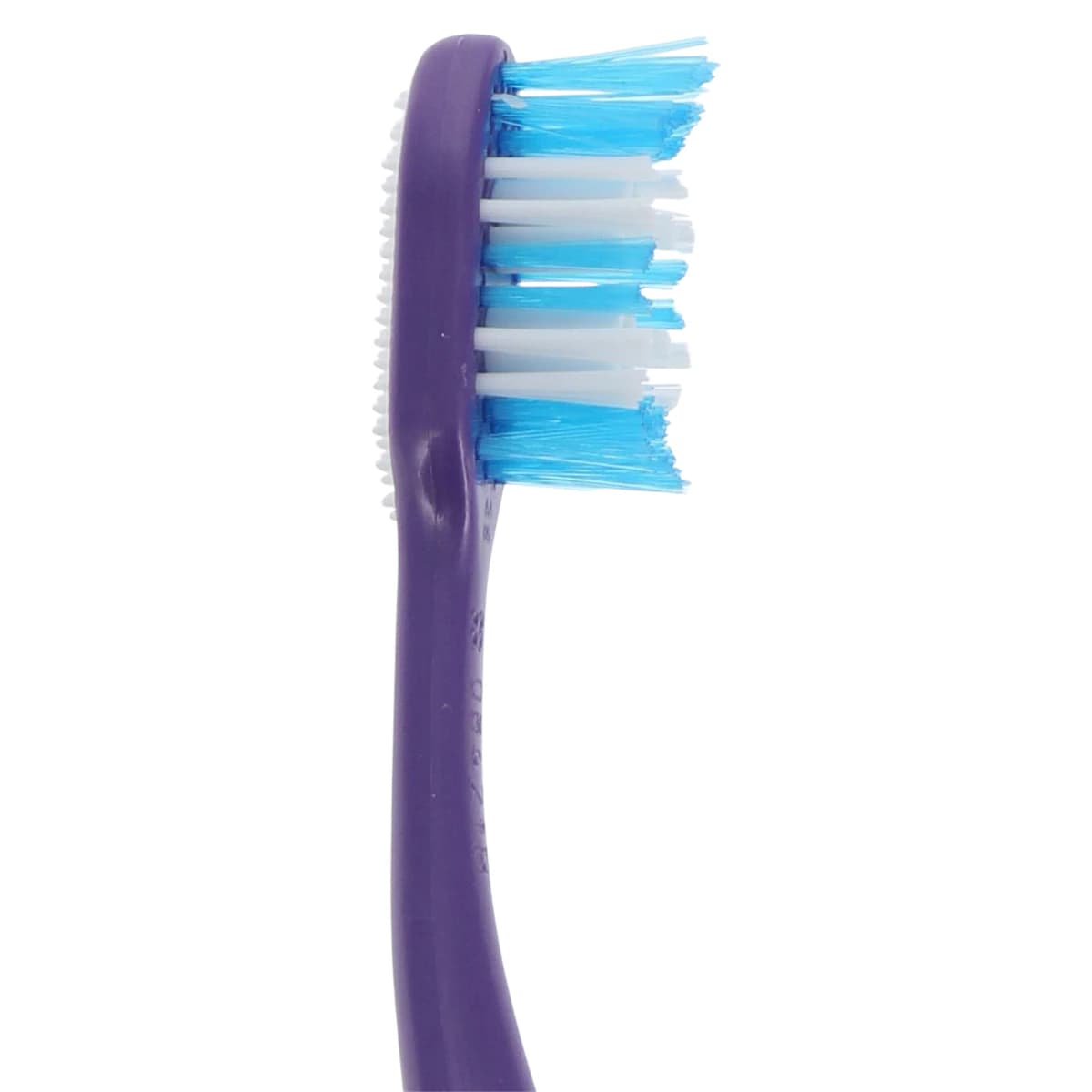 Colgate Manual Toothbrush Whitening Bundle #1, 72/Box thumbnail 8
