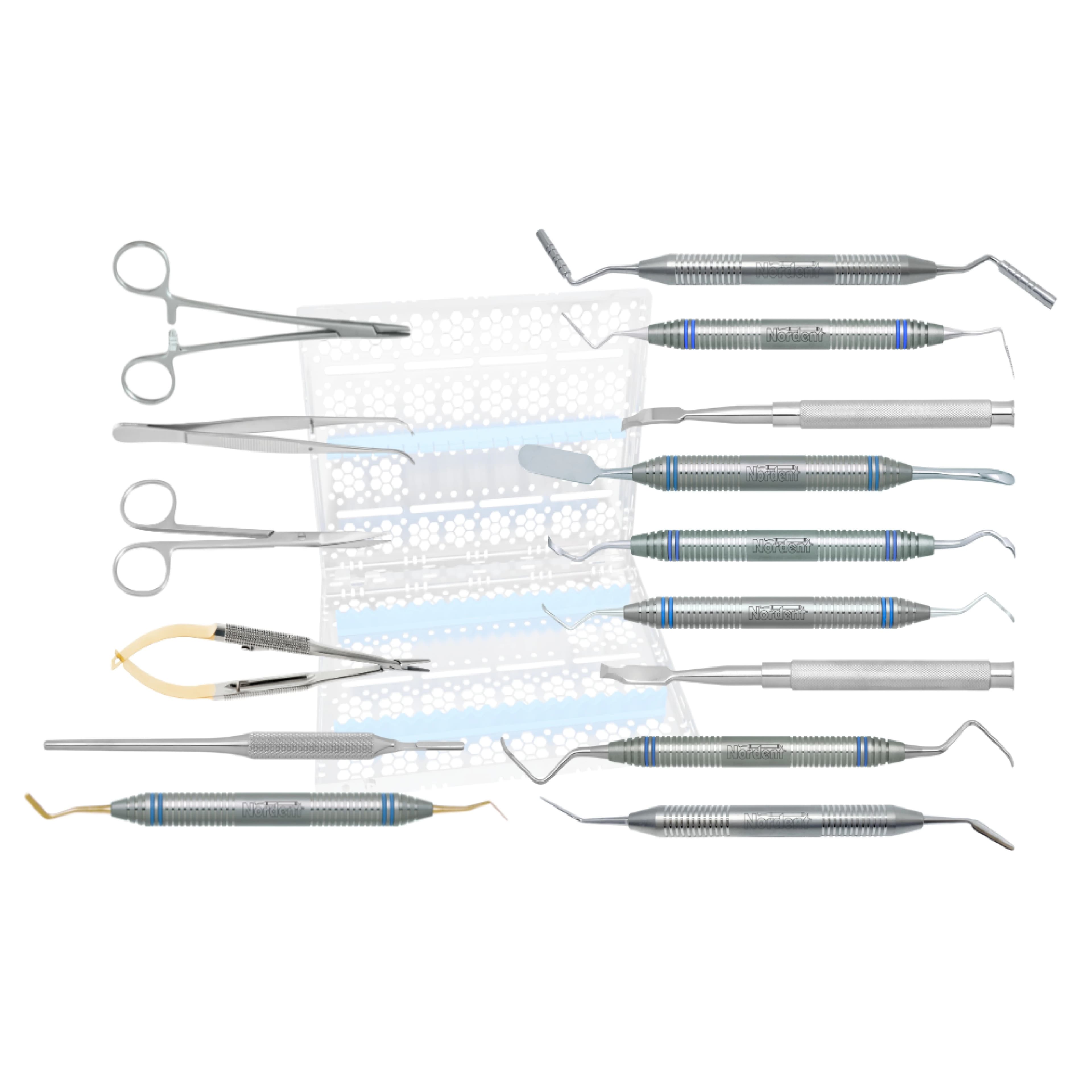 Dr. Grisdale Bone Grafting Surgery Kit, Nordent, Stainless Steel, 01KEZKNMRQBZESD2F6R7TJEEJ0 thumbnail 2
