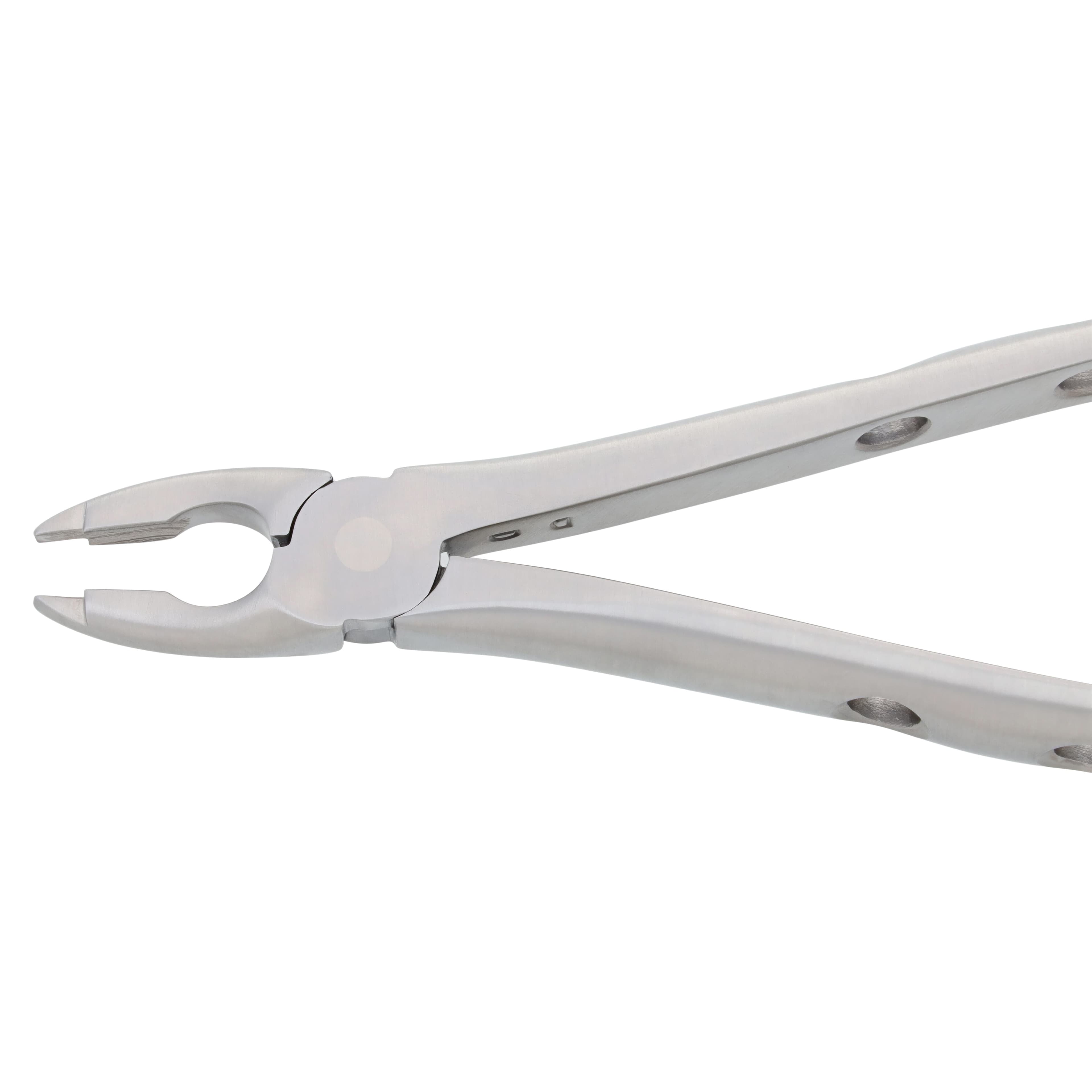 Nordent Extracting Forceps Size 99, Upper Anterior, Adult, Serrated, Non-Locking, German Stainless Steel thumbnail 4