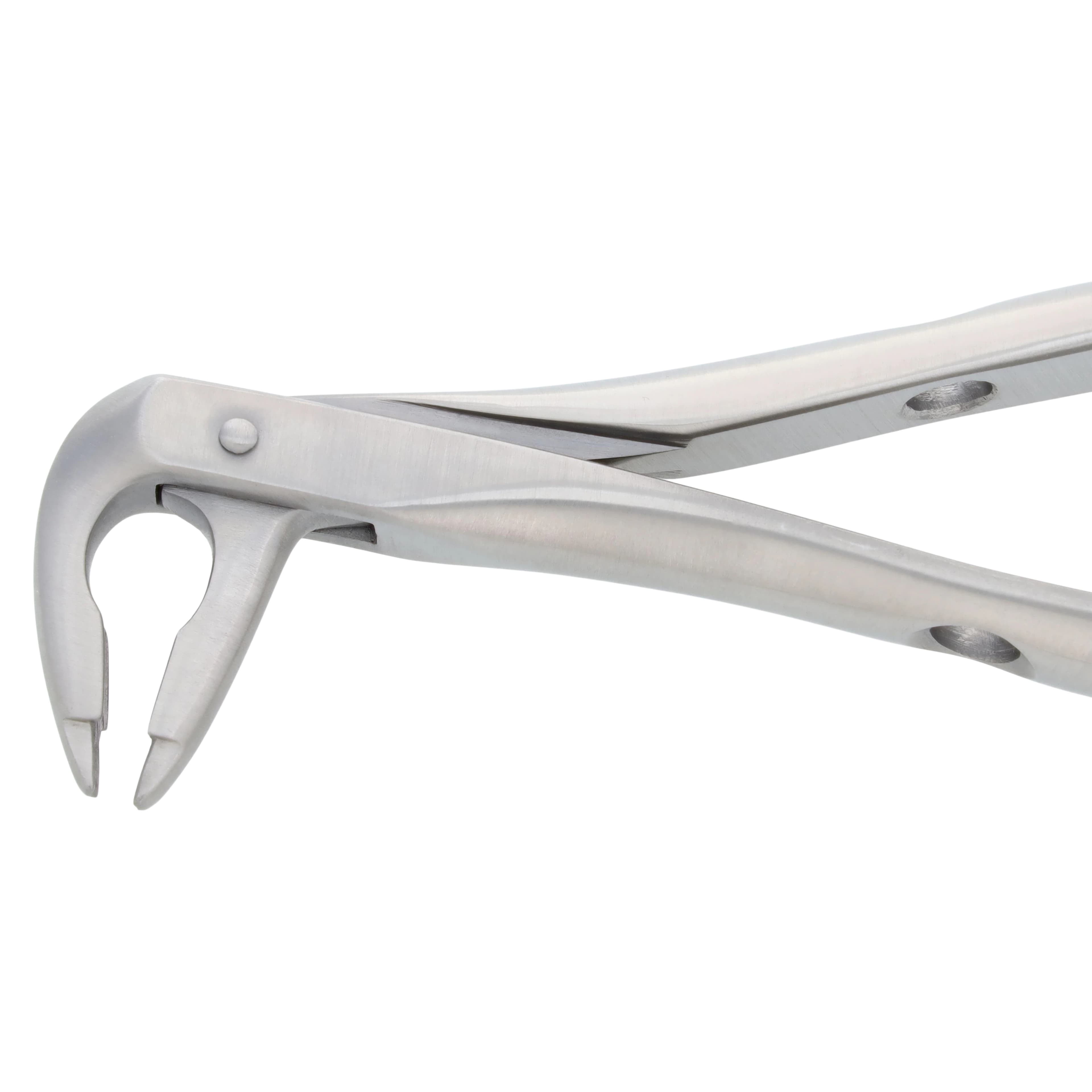 Nordent Extracting Forceps 74, Lower Anterior, Deep Gripping, Bird Beak, Adult, Serrated, Non-Locking, German Stainless Steel thumbnail 3