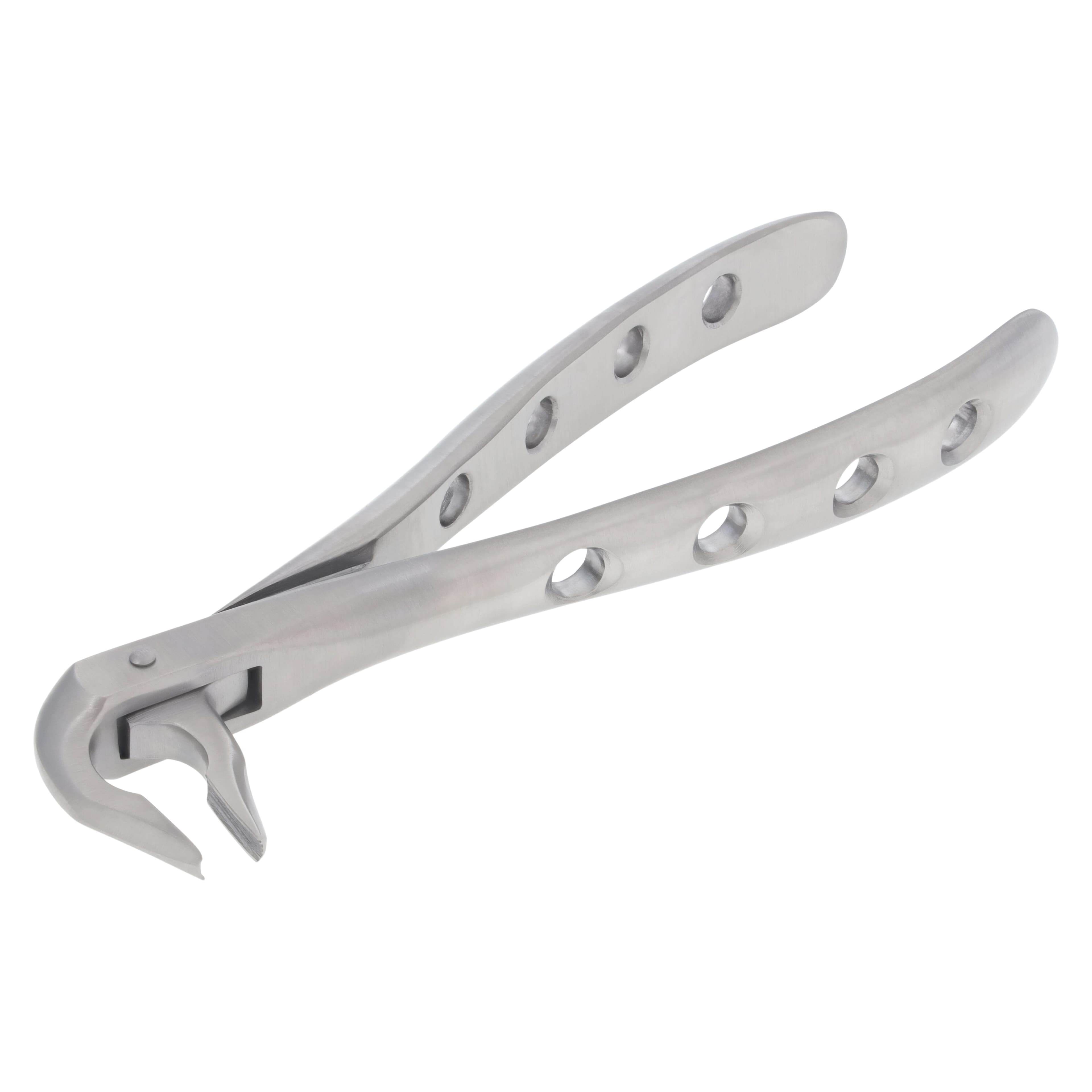 Nordent Extracting Forceps 74N Lower Anterior, Narrow, Atraumatic, Bird Beak, Adult, Serrated, Non-Locking, German Stainless Steel thumbnail 2