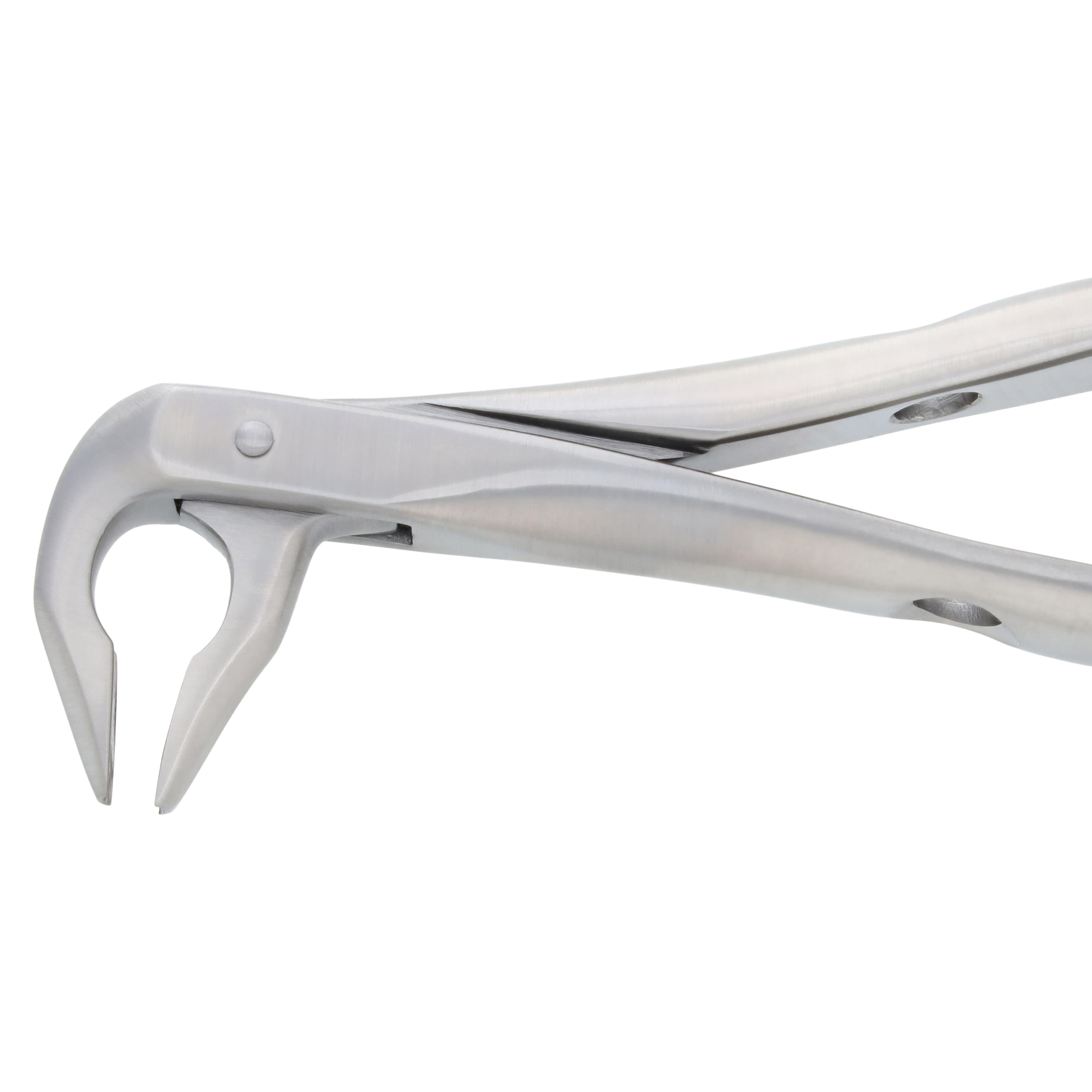 Nordent Extracting Forceps 74N Lower Anterior, Narrow, Atraumatic, Bird Beak, Adult, Serrated, Non-Locking, German Stainless Steel thumbnail 3