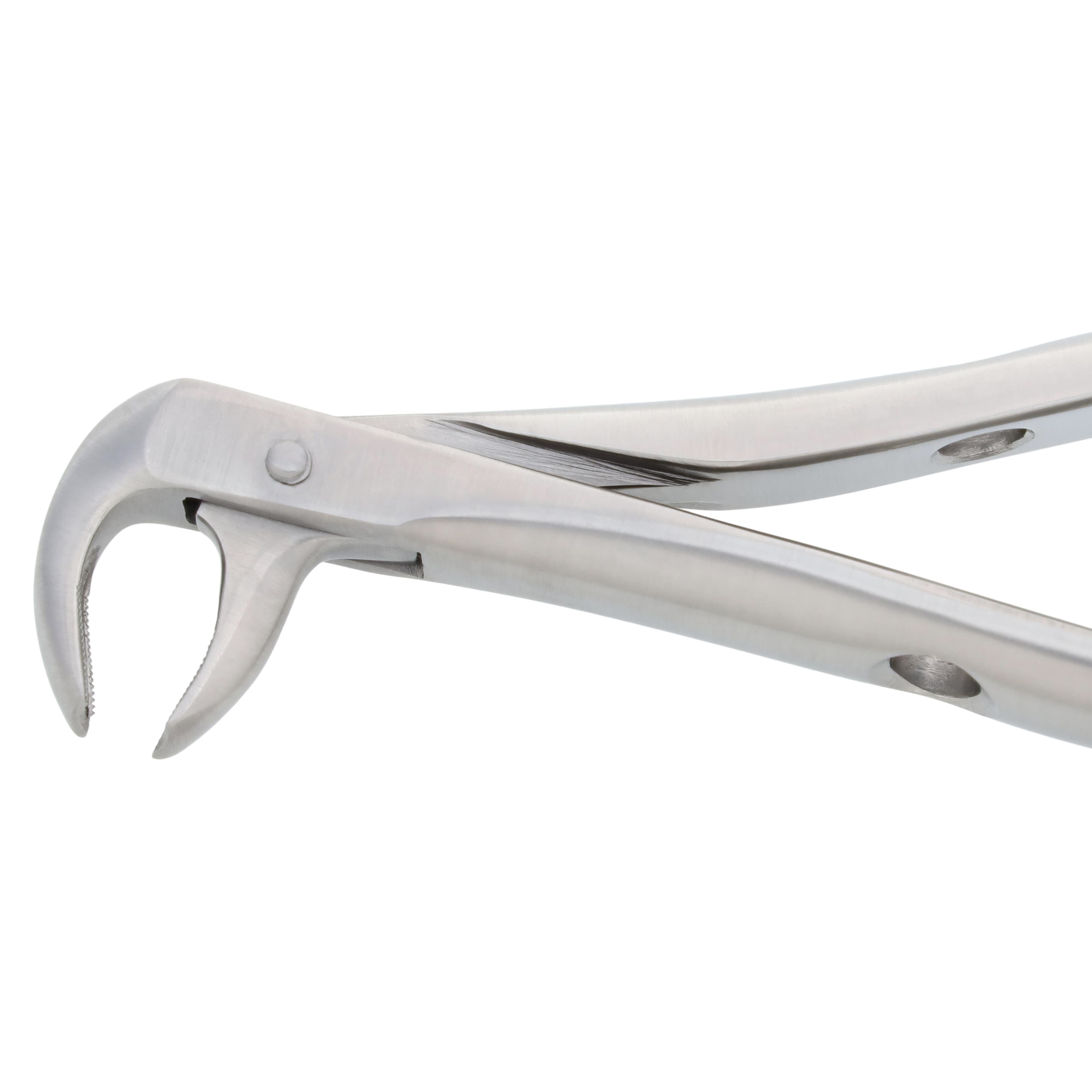 Nordent Extracting Forceps #13 Lower Molar, Bird Beak, Serrated, Non-Locking, Adult thumbnail 3