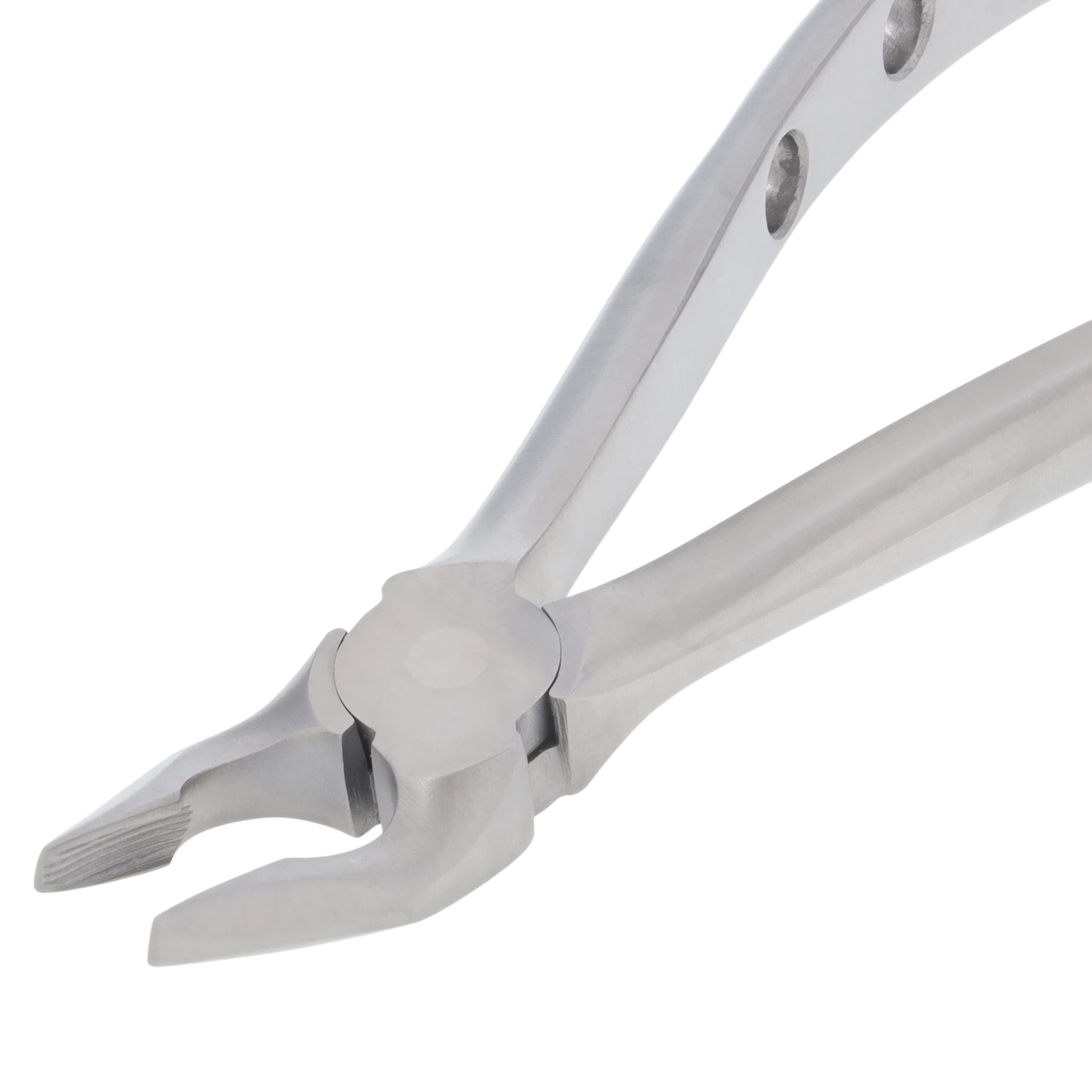 Nordent Extracting Forceps 150 Upper Universal, Atraumatic, Adult, Serrated, Non-Locking, Stainless Steel thumbnail 3