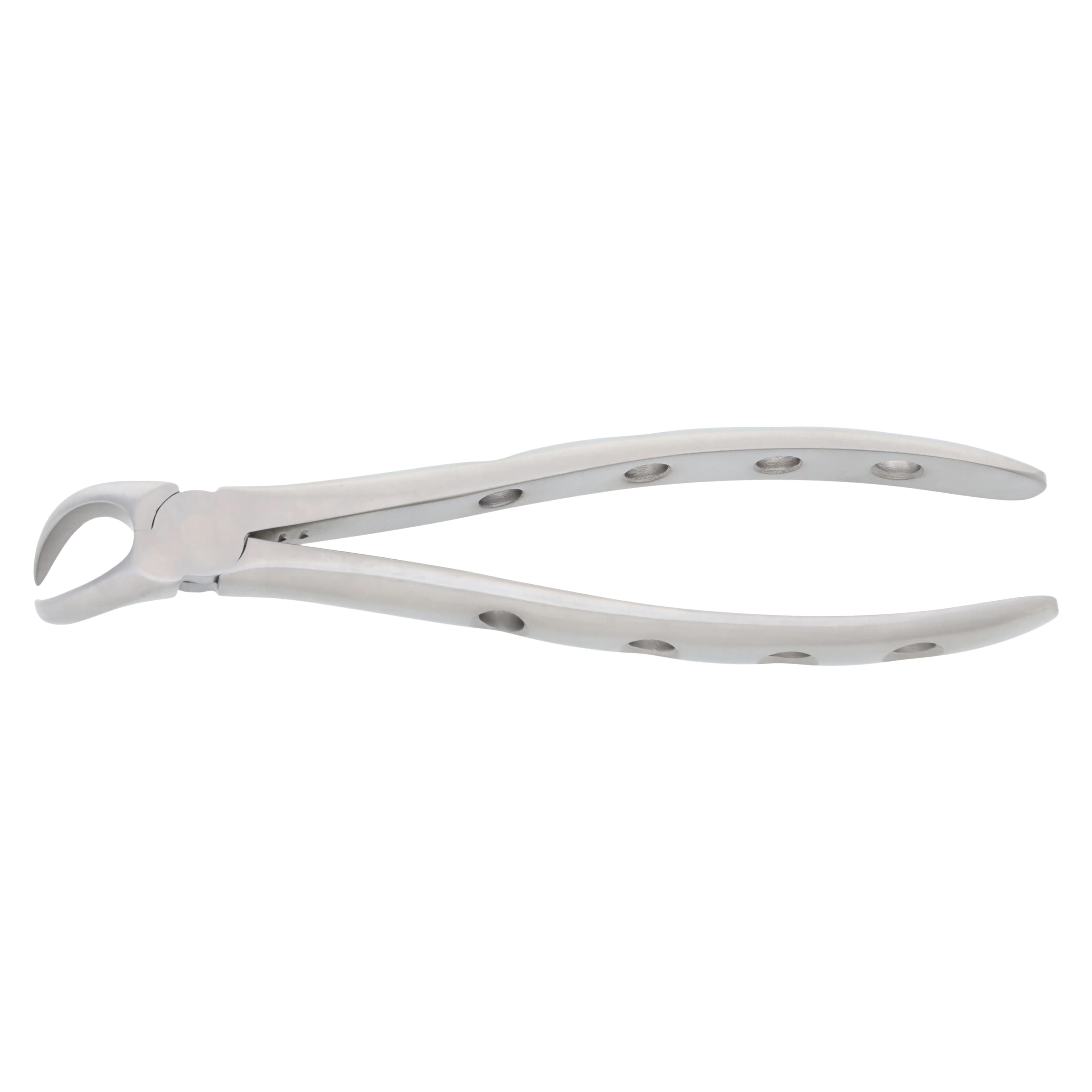 Nordent Extracting Forceps #23 Lower Cowhorn, Adult, Serrated, Non-Locking, Stainless Steel - Extr Forcep Lower Cowhorn - Image 1