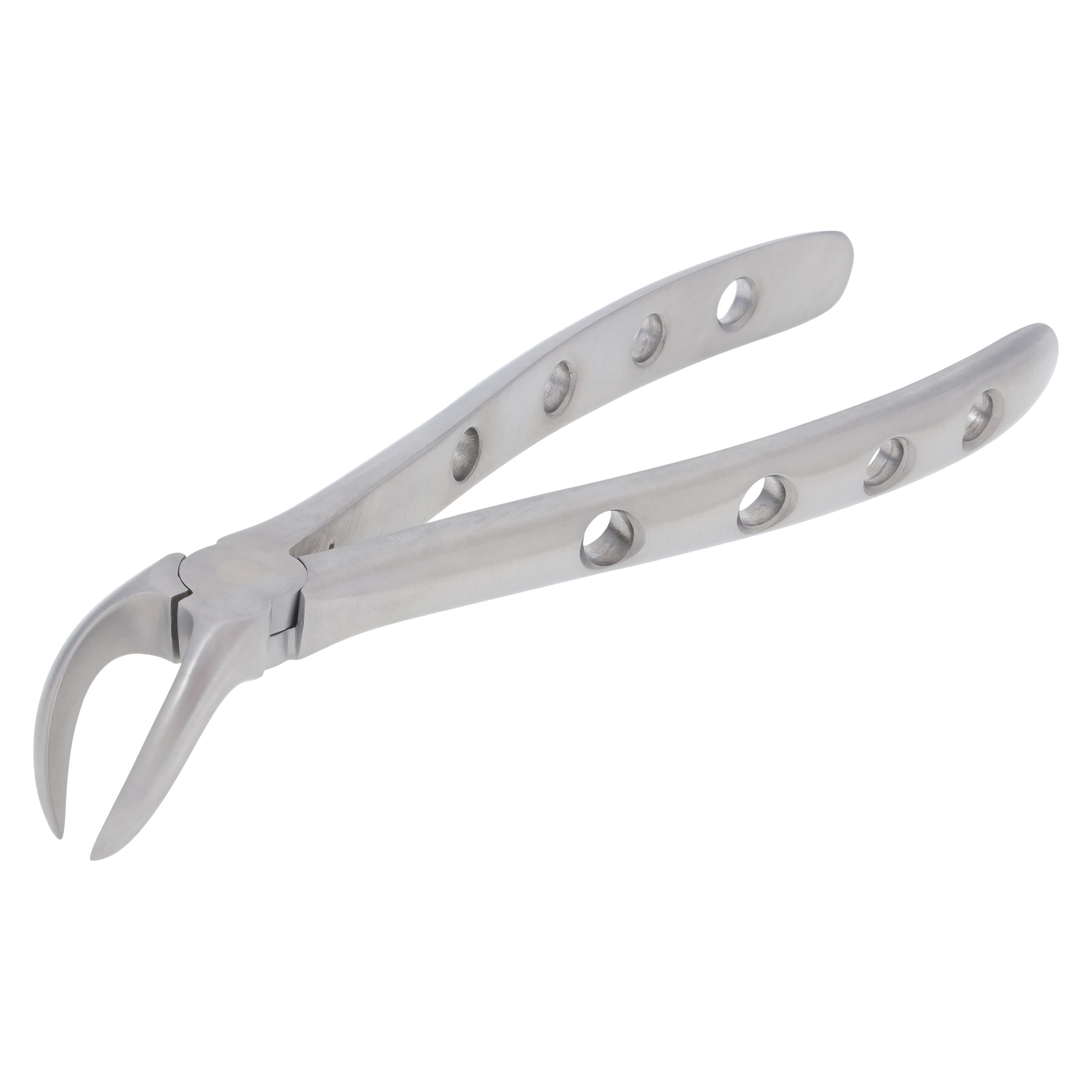 Nordent Extracting Forceps #23 Lower Cowhorn, Adult, Serrated, Non-Locking, Stainless Steel thumbnail 2