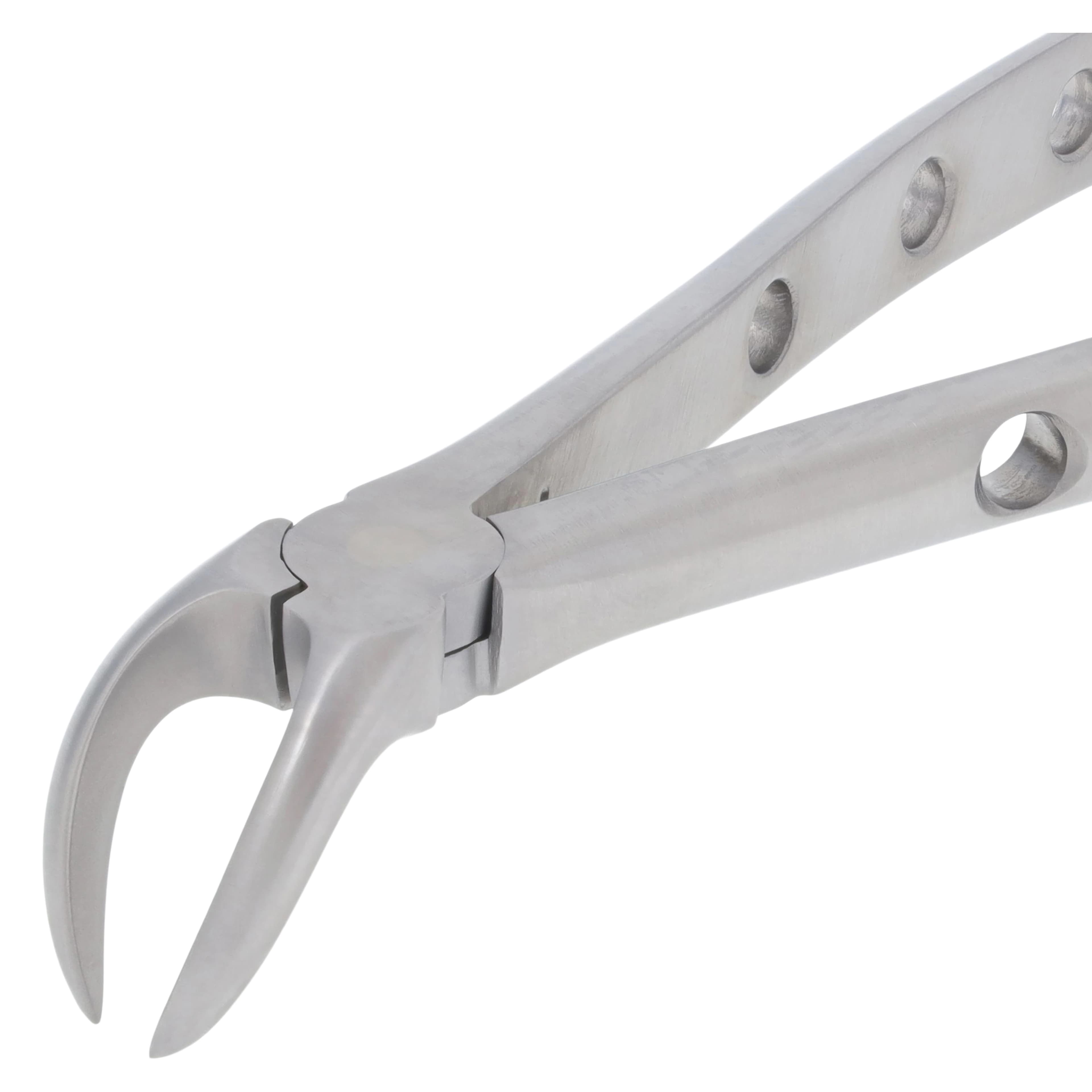 Nordent Extracting Forceps #23 Lower Cowhorn, Adult, Serrated, Non-Locking, Stainless Steel thumbnail 3