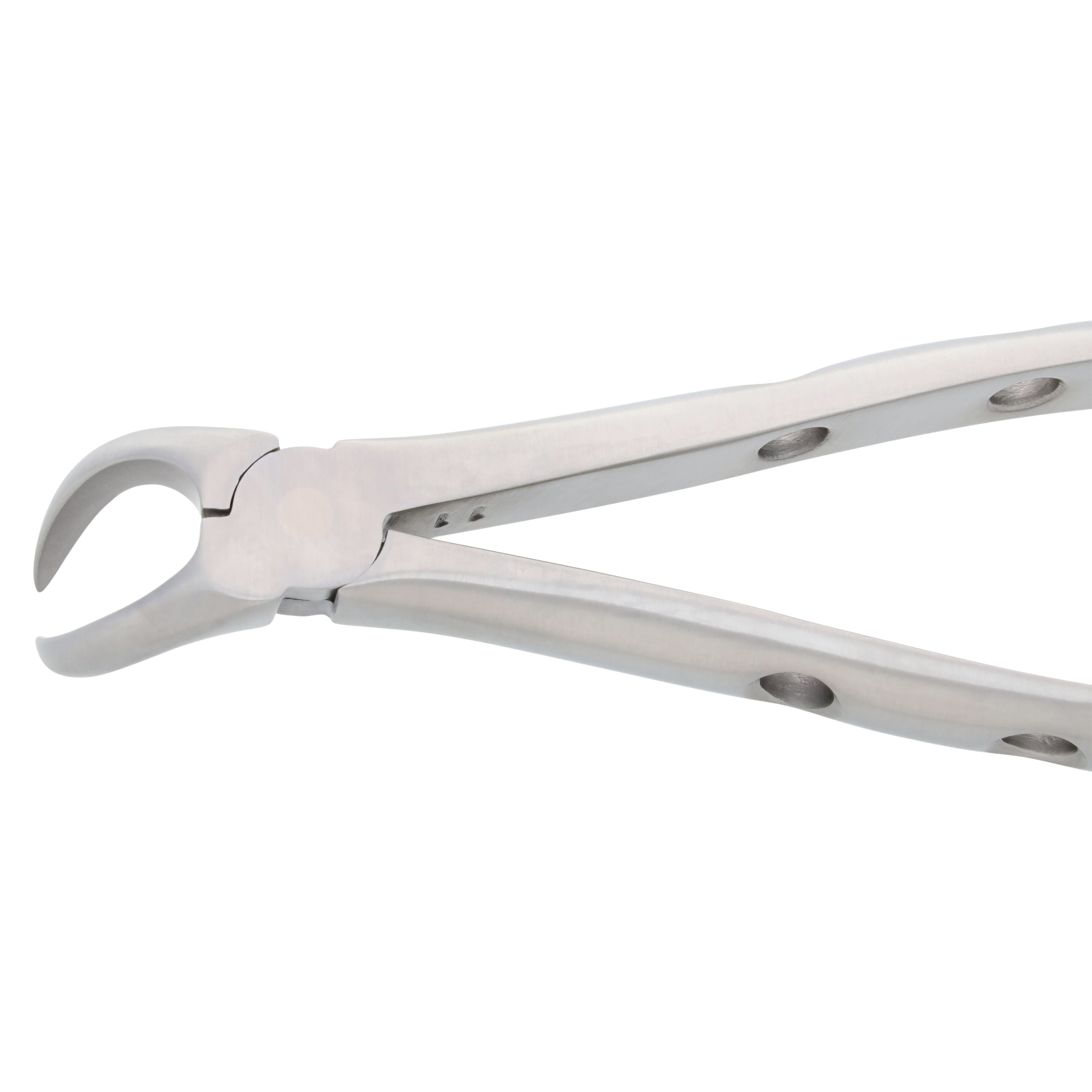 Nordent Extracting Forceps #23 Lower Cowhorn, Adult, Serrated, Non-Locking, Stainless Steel thumbnail 4