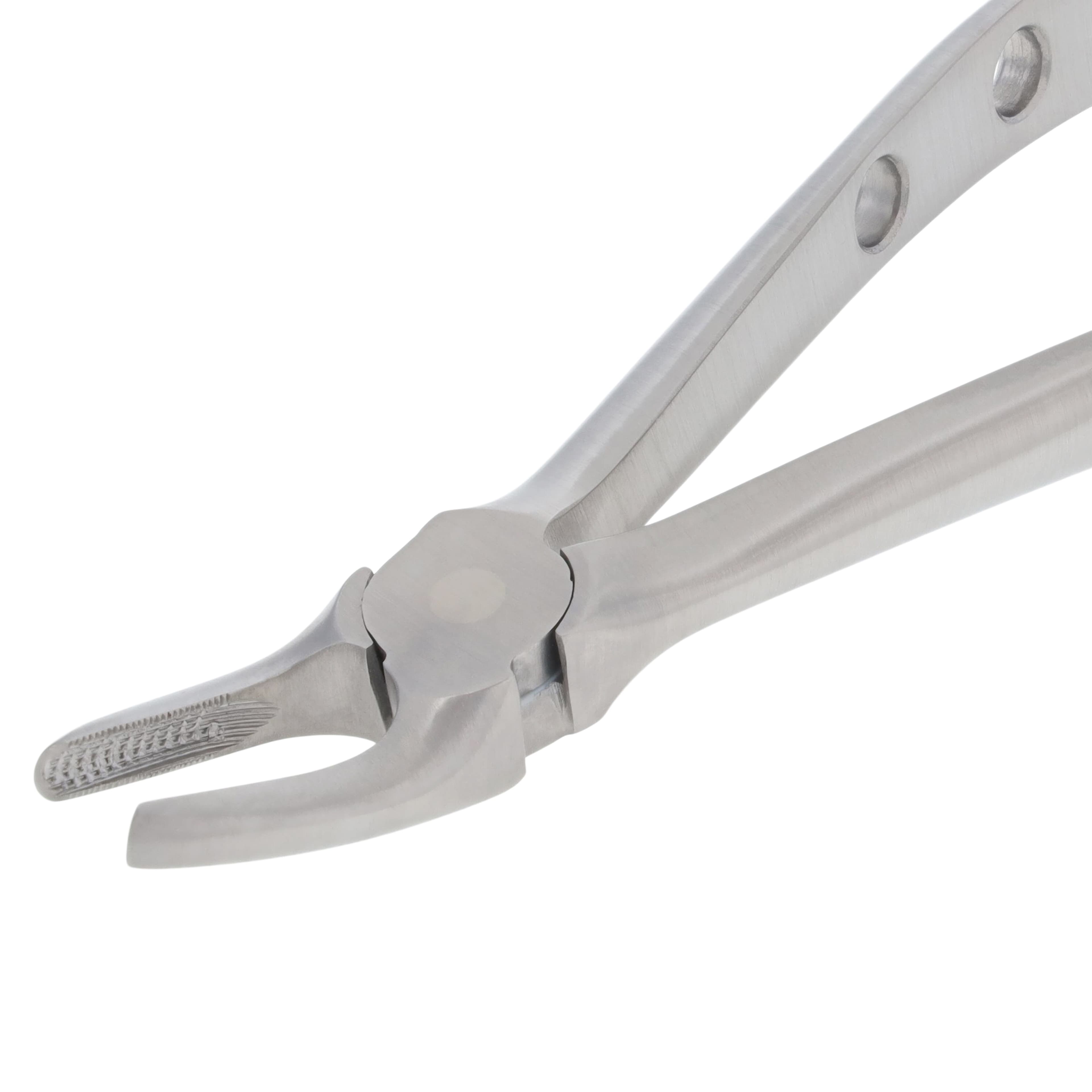 Nordent Extracting Forceps, Mead 2, Upper Molar Universal, Adult, Serrated, Non-Locking, German Stainless Steel thumbnail 3