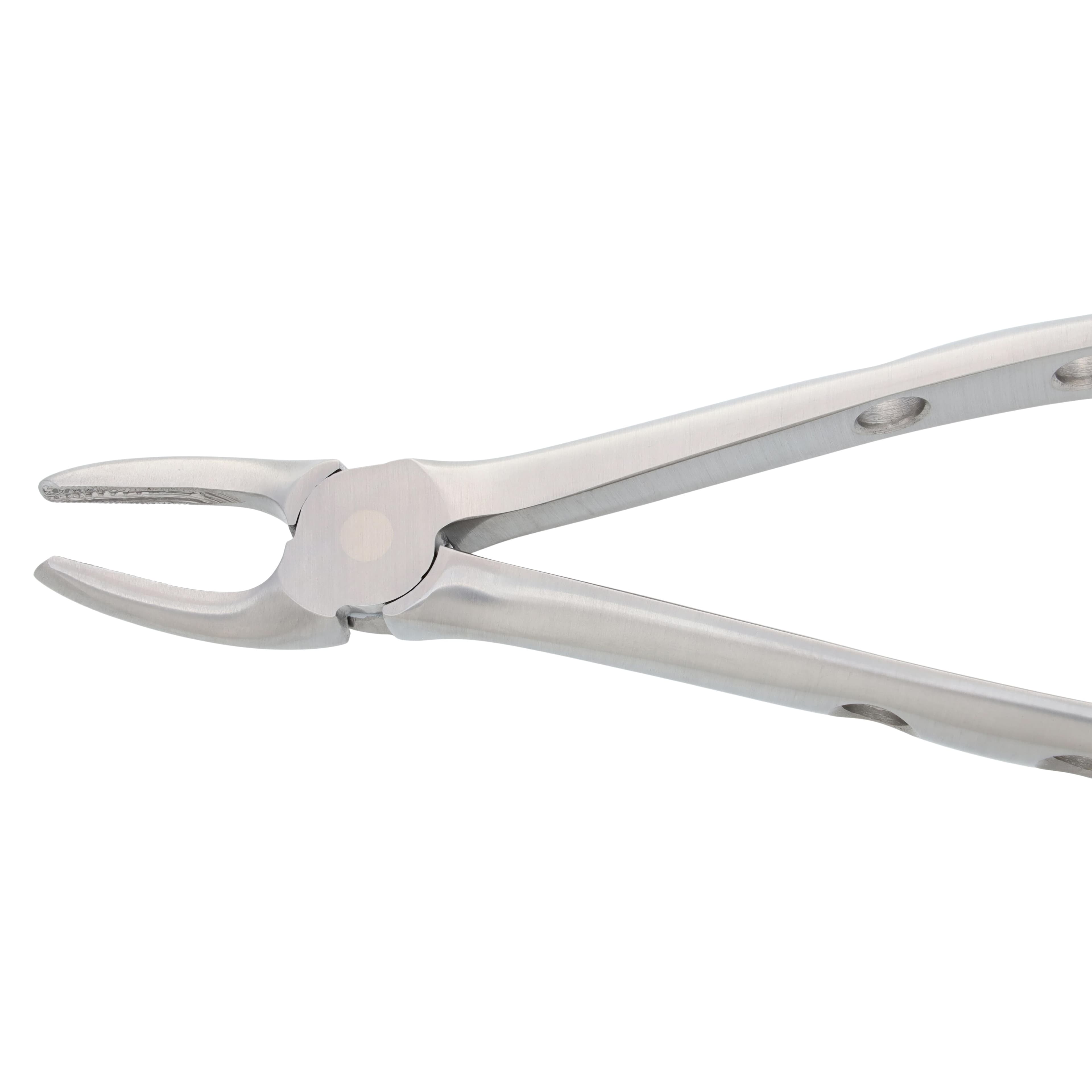 Nordent Extracting Forceps, Mead 2, Upper Molar Universal, Adult, Serrated, Non-Locking, German Stainless Steel thumbnail 4