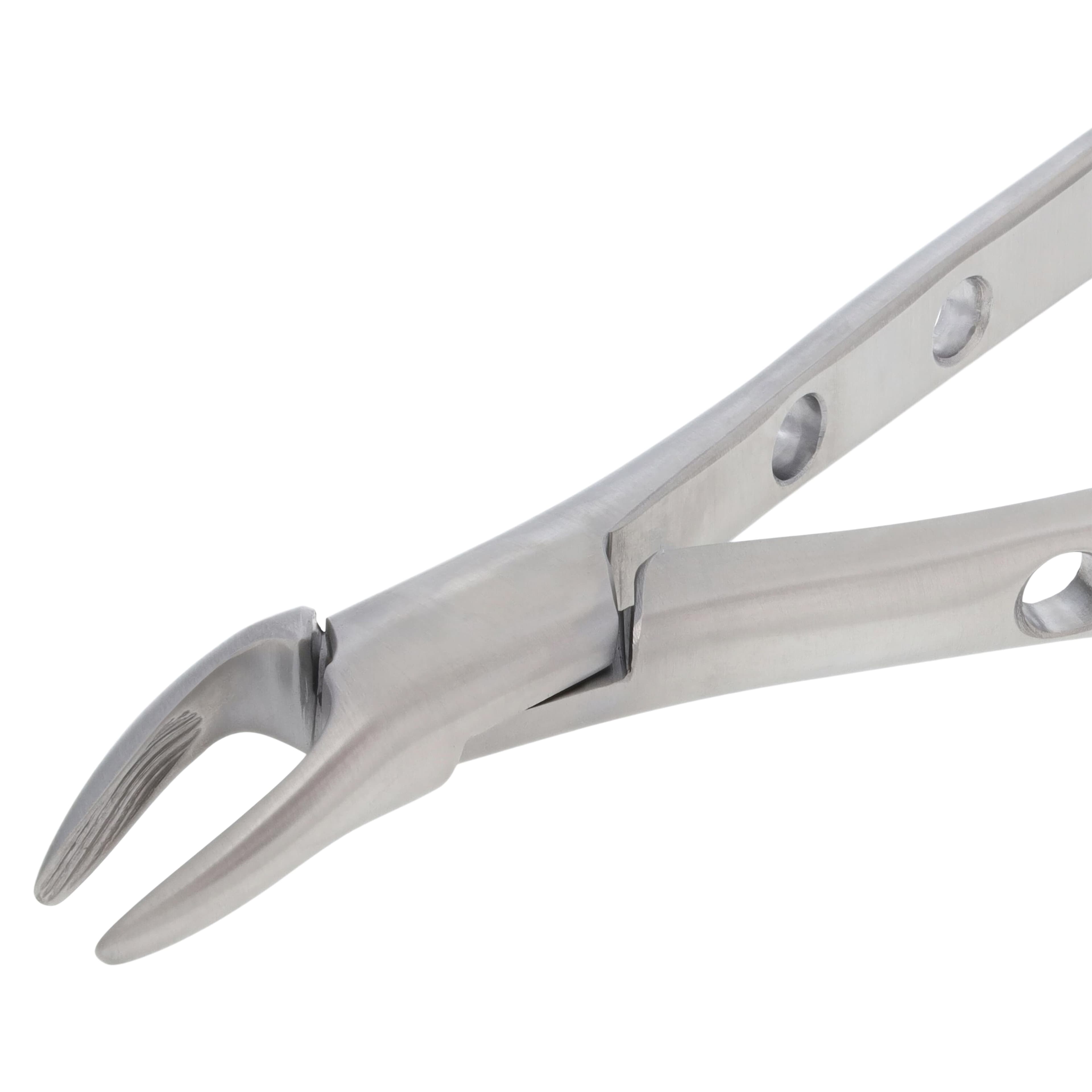 Nordent Extracting Forceps, Upper Universal, Child Size, Serrated, Non-Locking, 100% German Stainless Steel thumbnail 3