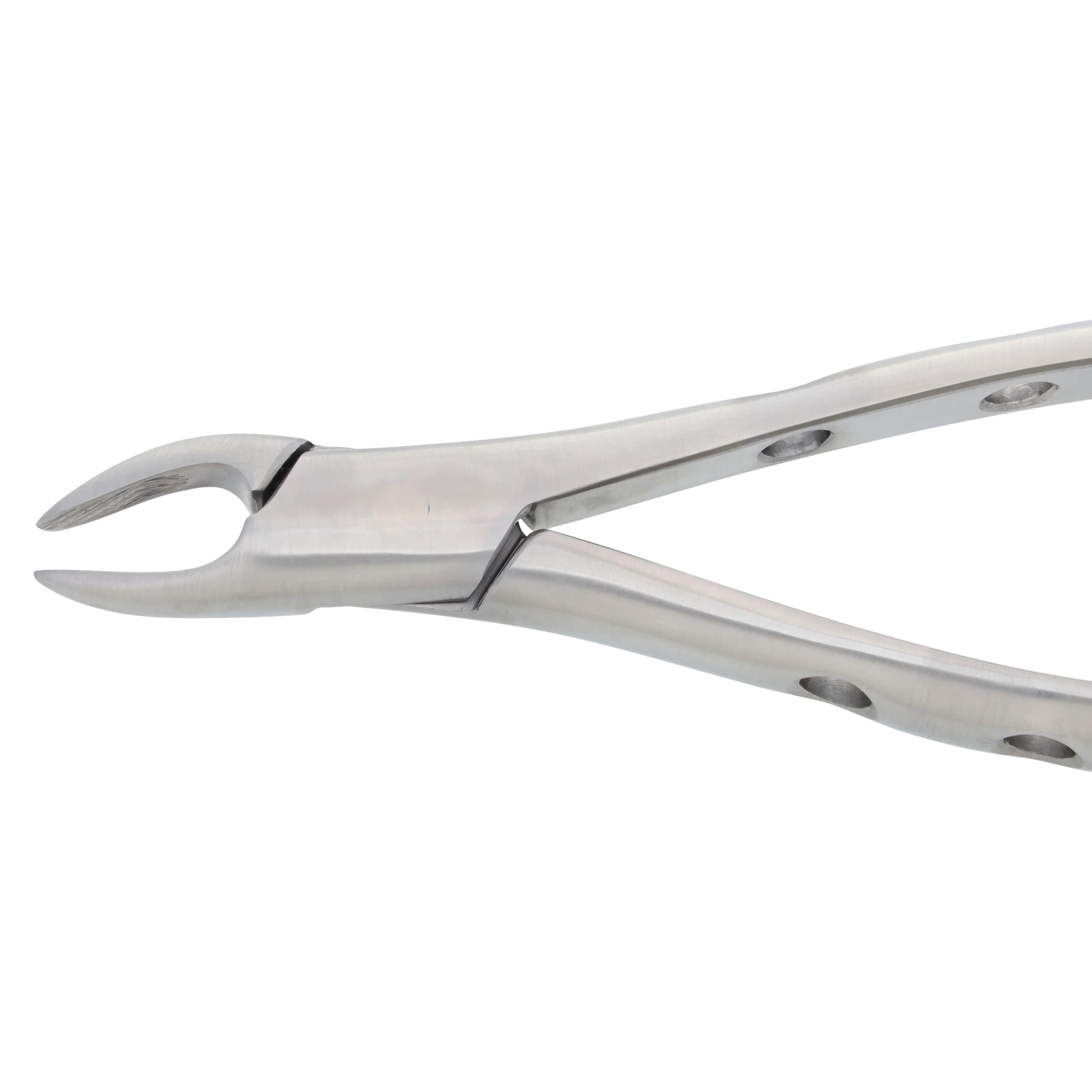 Nordent Extracting Forceps, Upper Universal, Child Size, Serrated, Non-Locking, 100% German Stainless Steel thumbnail 4