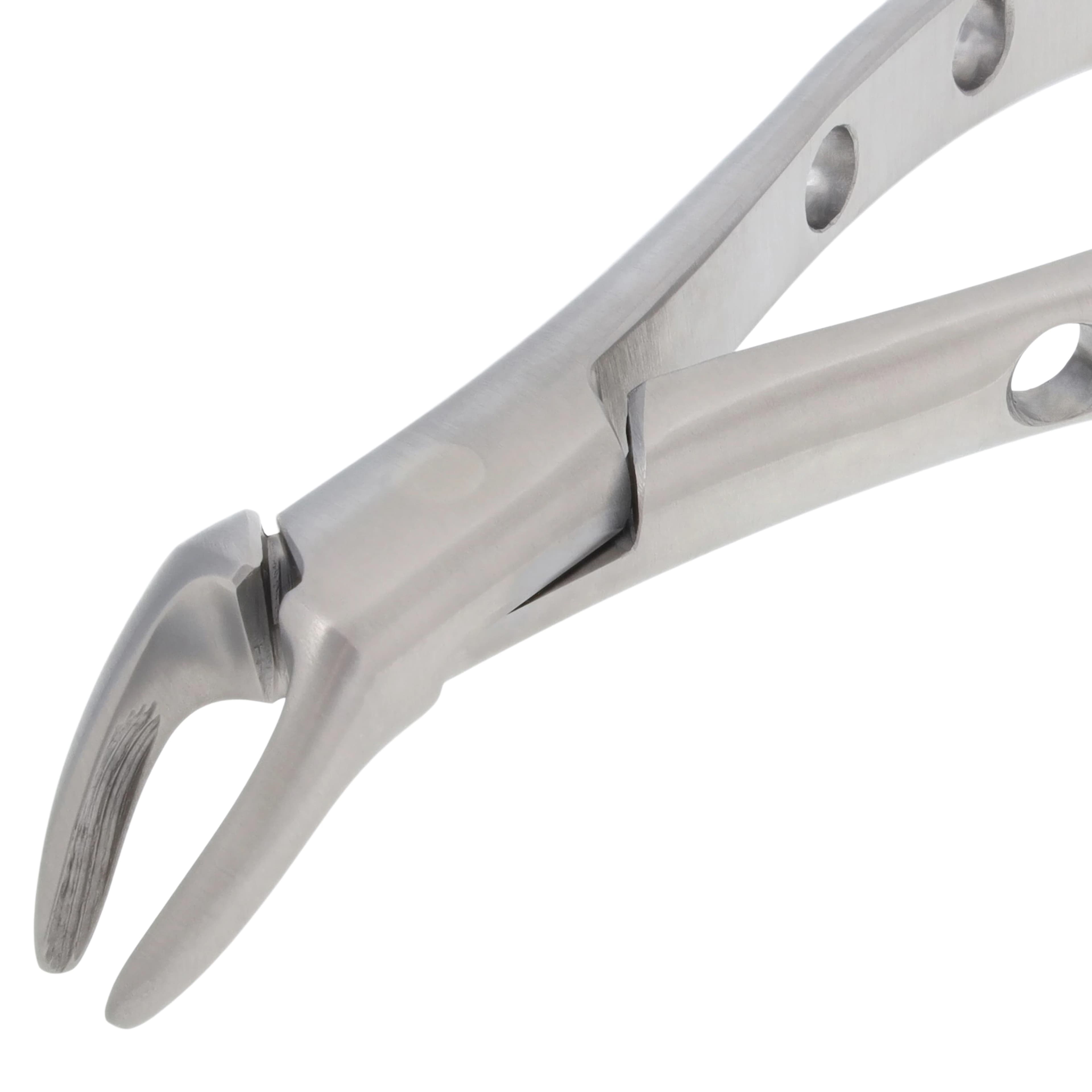 Nordent Extracting Forceps 151 Lower Universal, Child, Serrated, Non-Locking, German Stainless Steel thumbnail 3