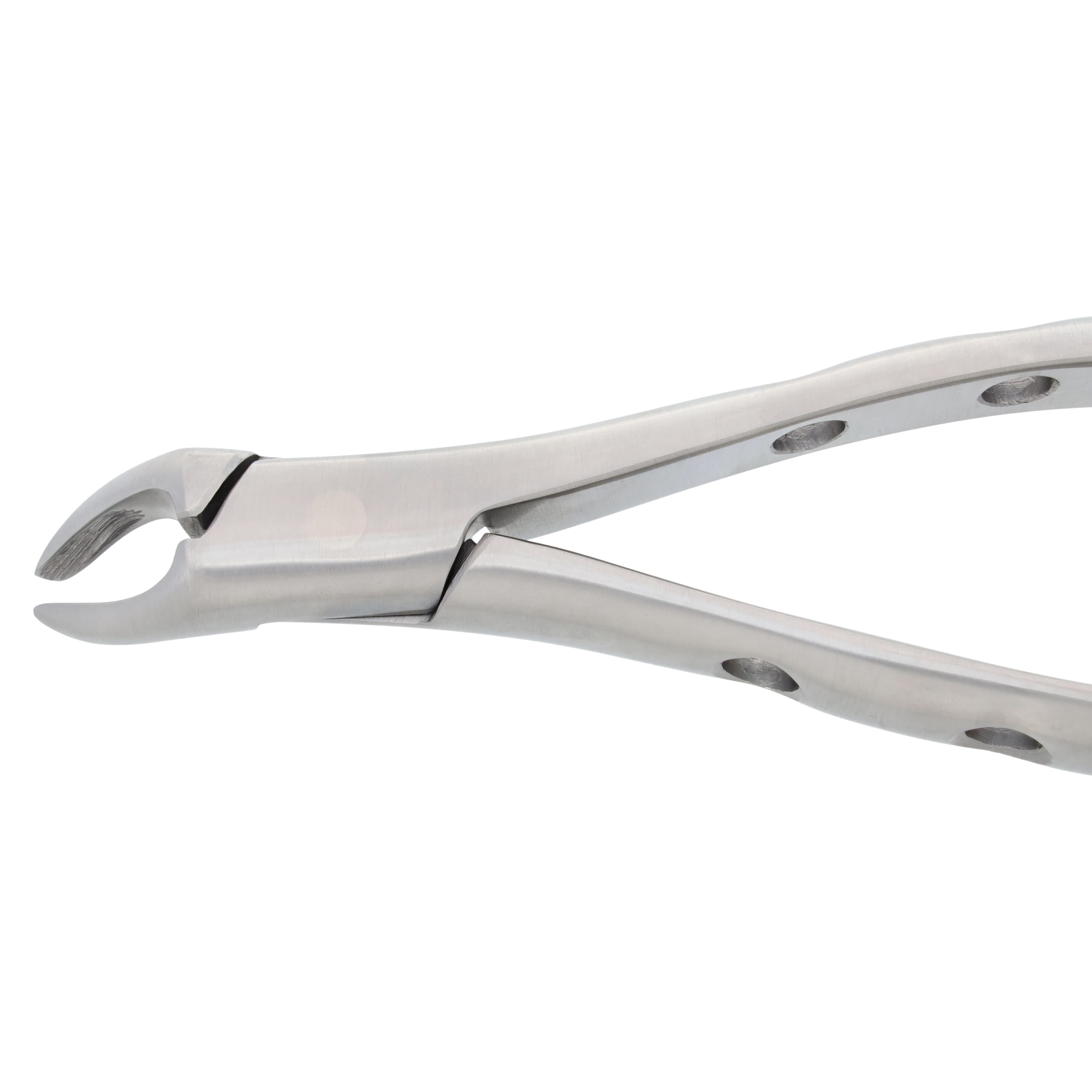 Nordent Extracting Forceps 151 Lower Universal, Child, Serrated, Non-Locking, German Stainless Steel thumbnail 4