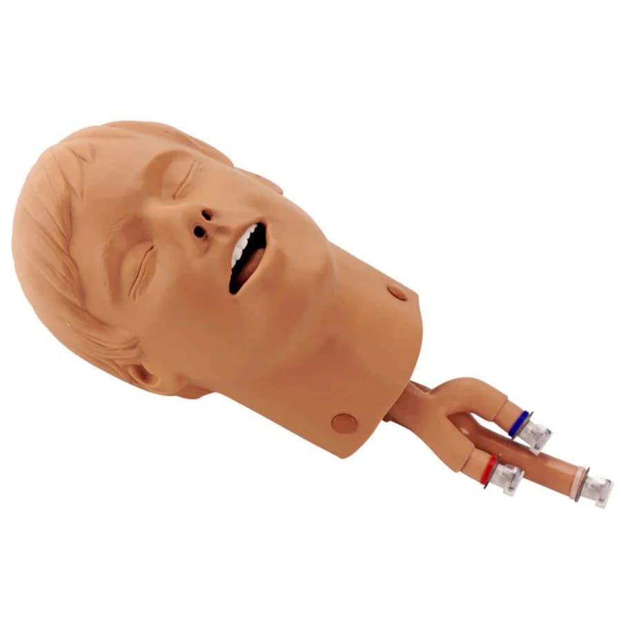 Simulaids Adult ALS Trainer Intubation Head, 19x7x10" - Intubation Head - Image 1