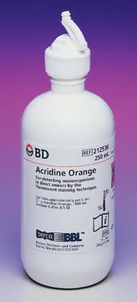 B-D Microbiology Acridine Orange Stain, Denture Opaque/Stain, Each - Stain Acridine Orange - Image 1