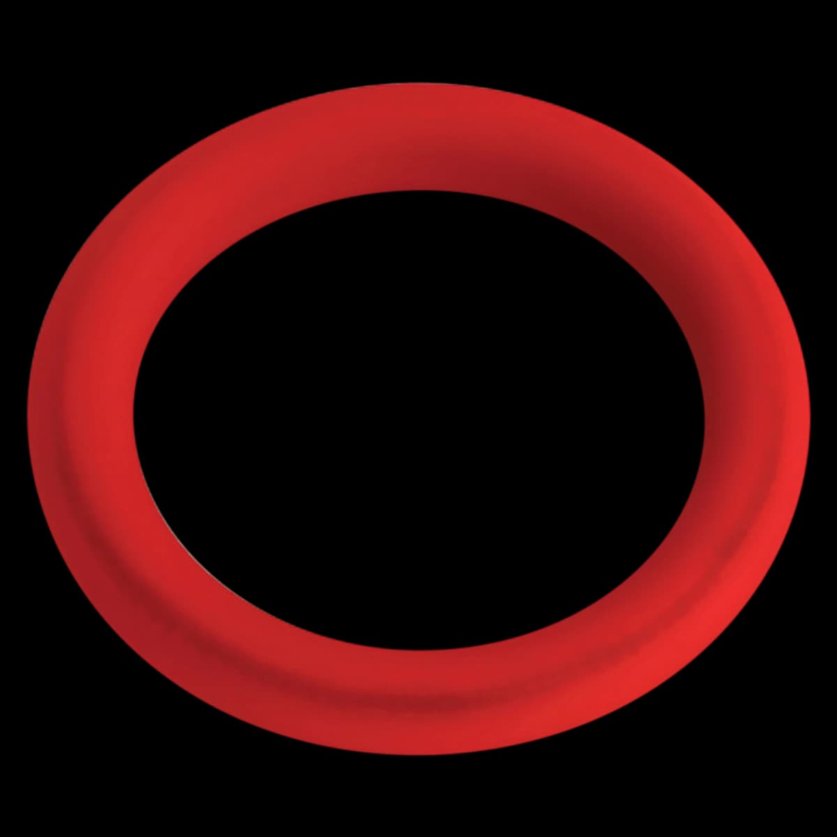 BioHorizons O-Ring, Silicone, 128 x 025, Red (Each) - O-Ring 128 x 025 Silicone Red - Image 1