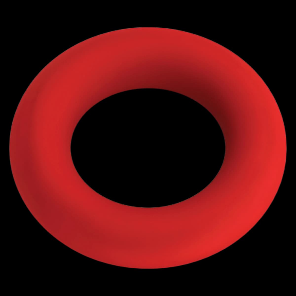 BioHorizons O-Ring, Silicone, Red, 100 x 040 (Each) - O-Ring 100 x 040 Silicone Red - Image 1