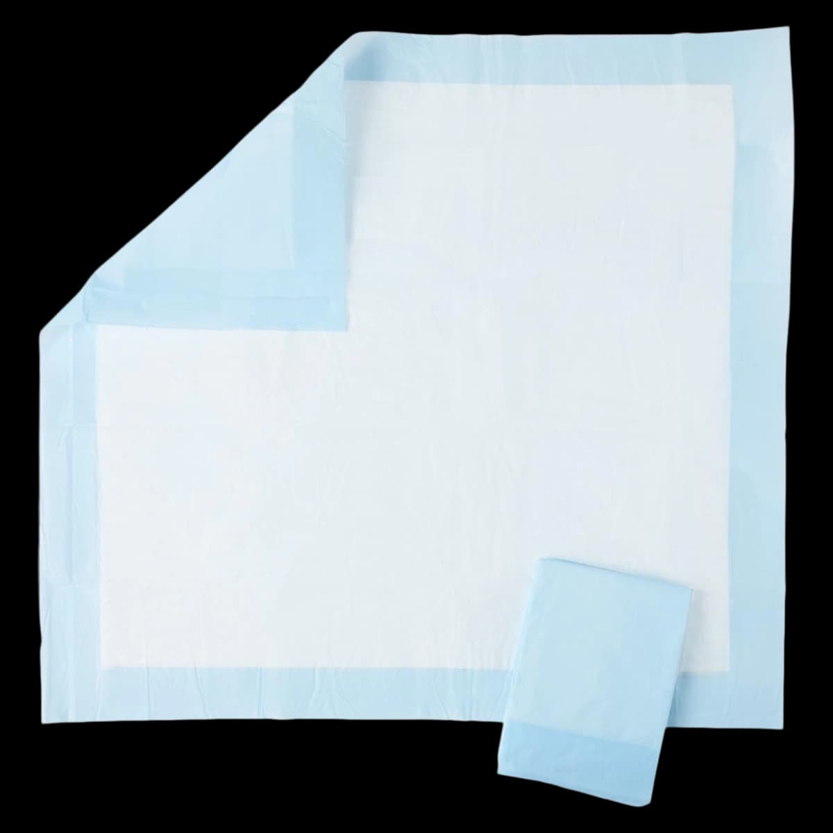 Medline ProtectionPlus Disposable Fluff Underpad, Light Absorbency, 23" x 24", White/Blue, 200/Case - ProtectionPlus Undperpad Light - Image 1