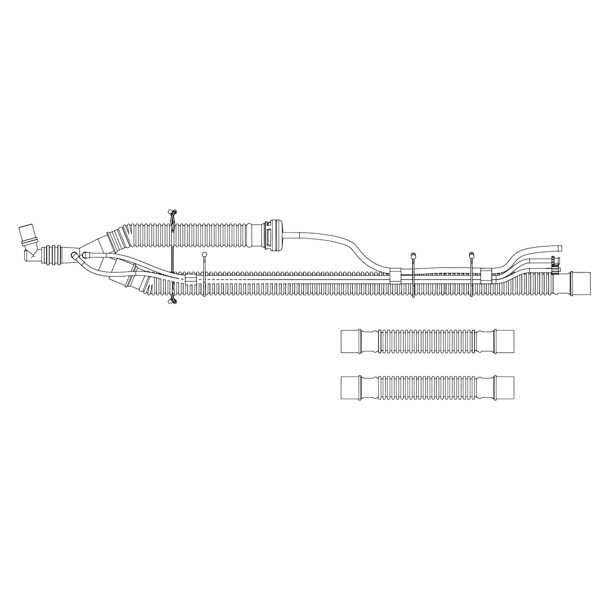 REVEL Adult Ventilation Circuit with Elbow, without PEEP Valve, 22mm, 10/Case - REVEL Adult Vent Circuit - Image 1