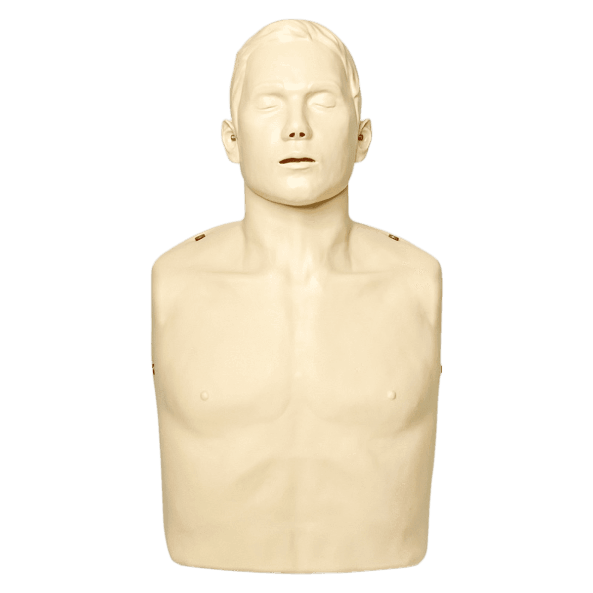 Brayden Basic Adult CPR Training Manikin - Brayden Basic Adult Manikin - Image 1